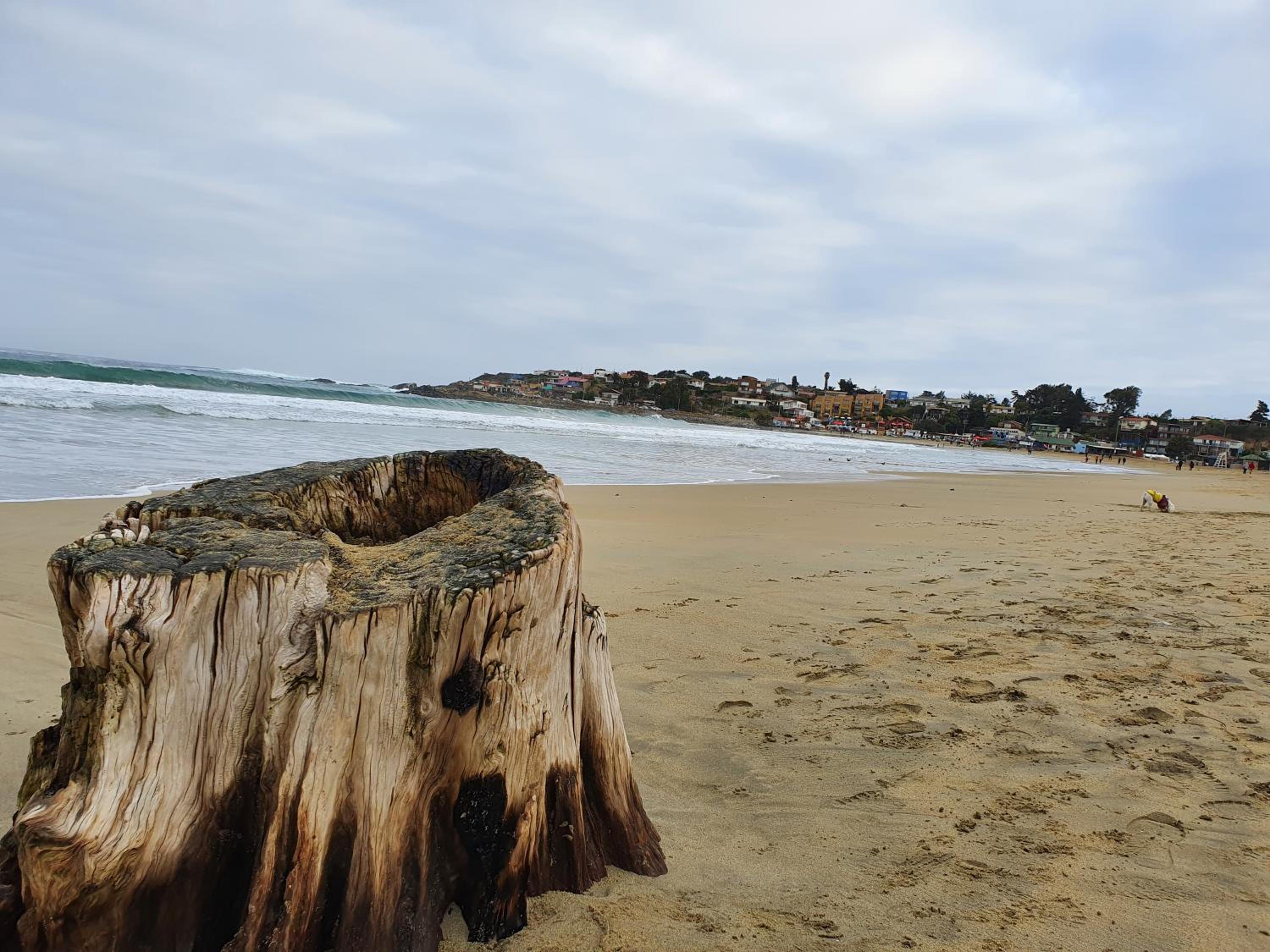 Descanso frente al mar