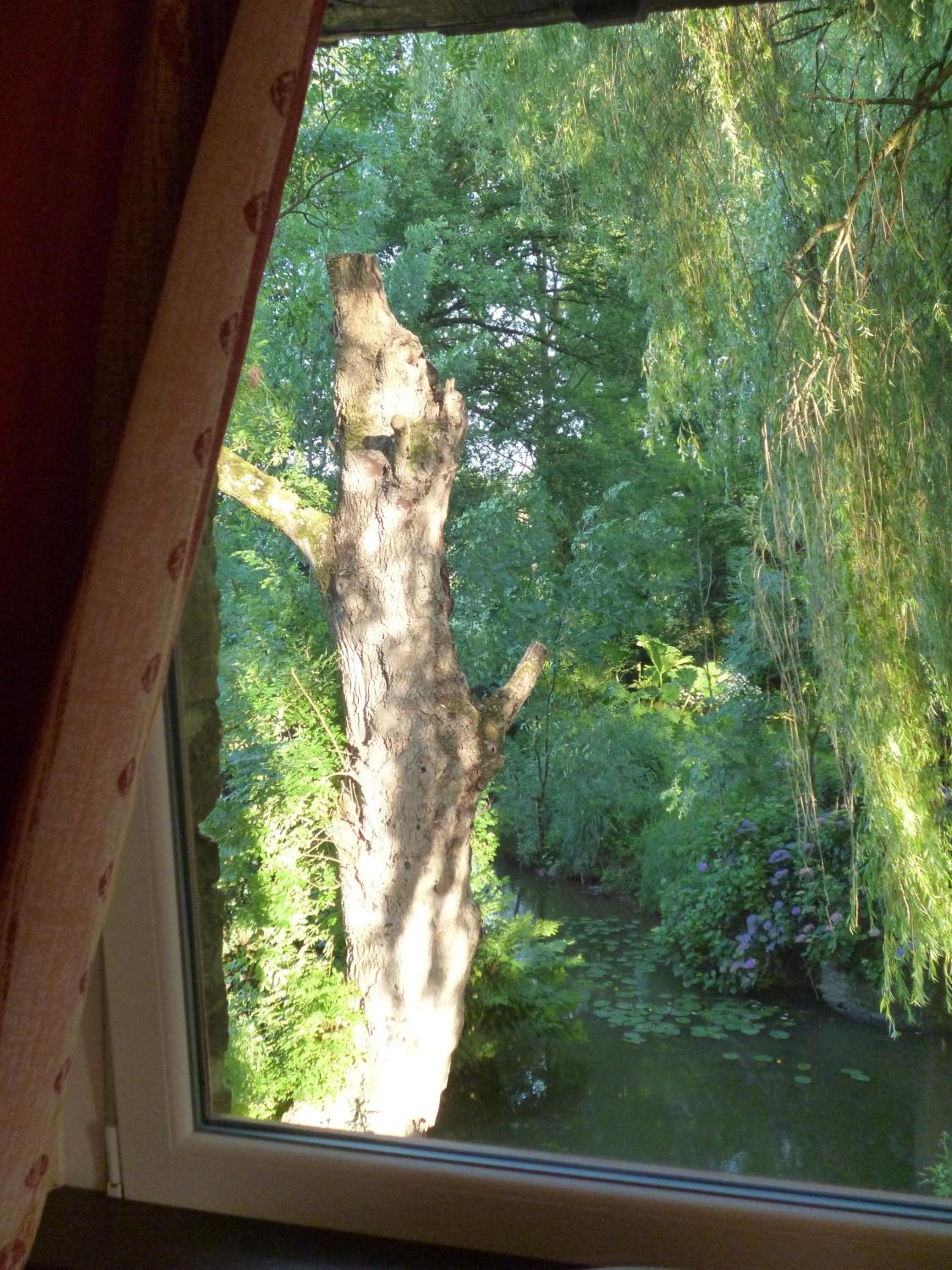 Photo 37