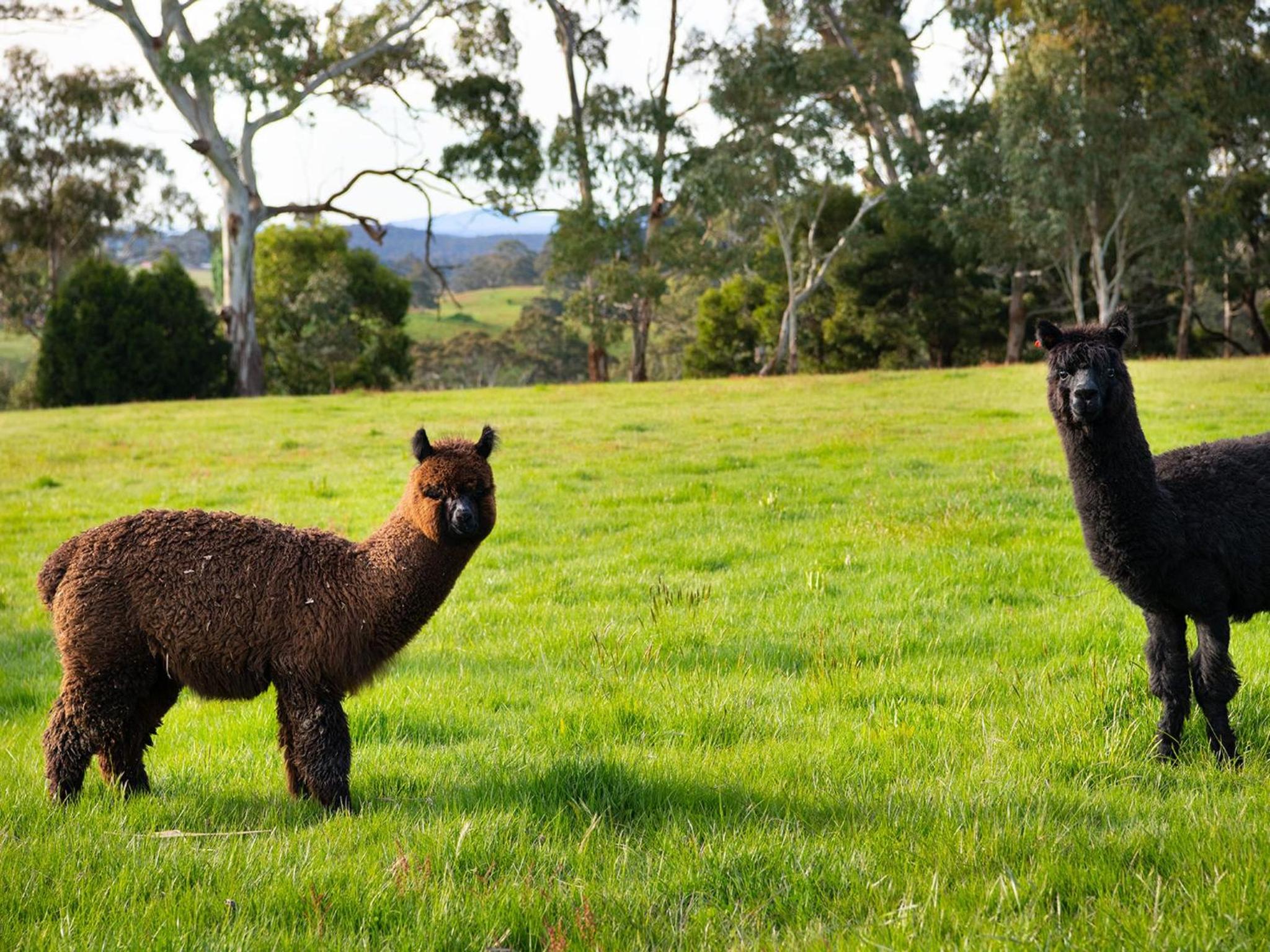 Loddon Retreat- picturesque country escape