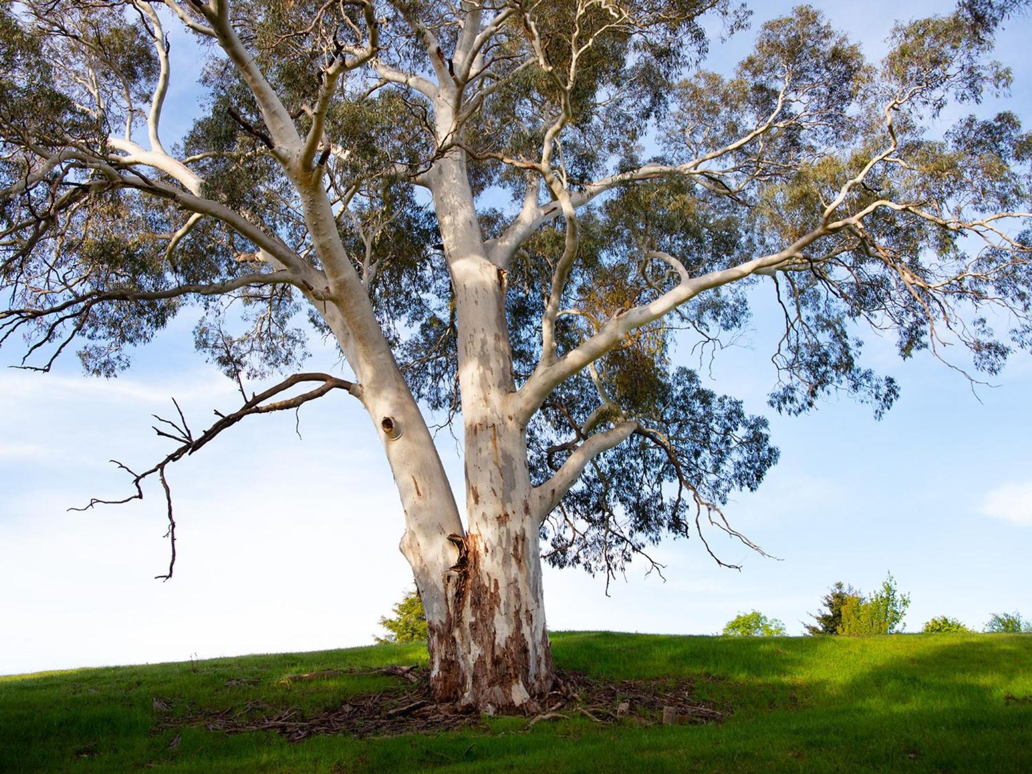 Loddon Retreat- picturesque country escape