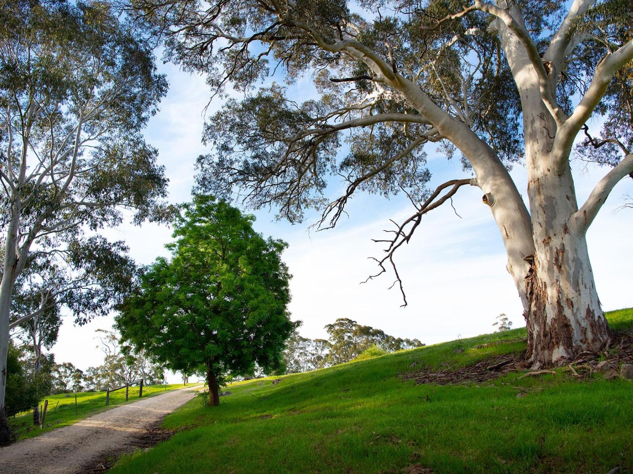 Loddon Retreat- picturesque country escape