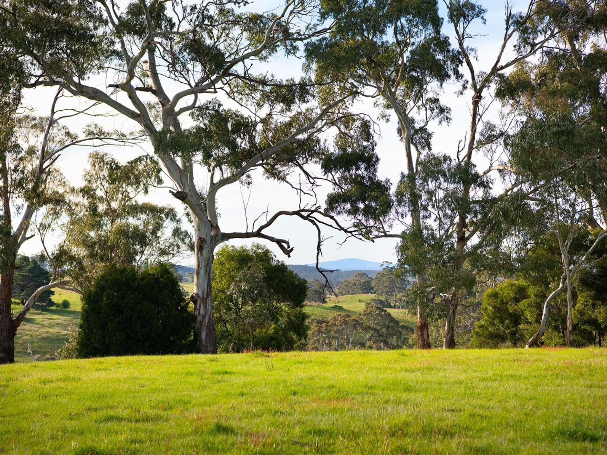 Loddon Retreat- picturesque country escape