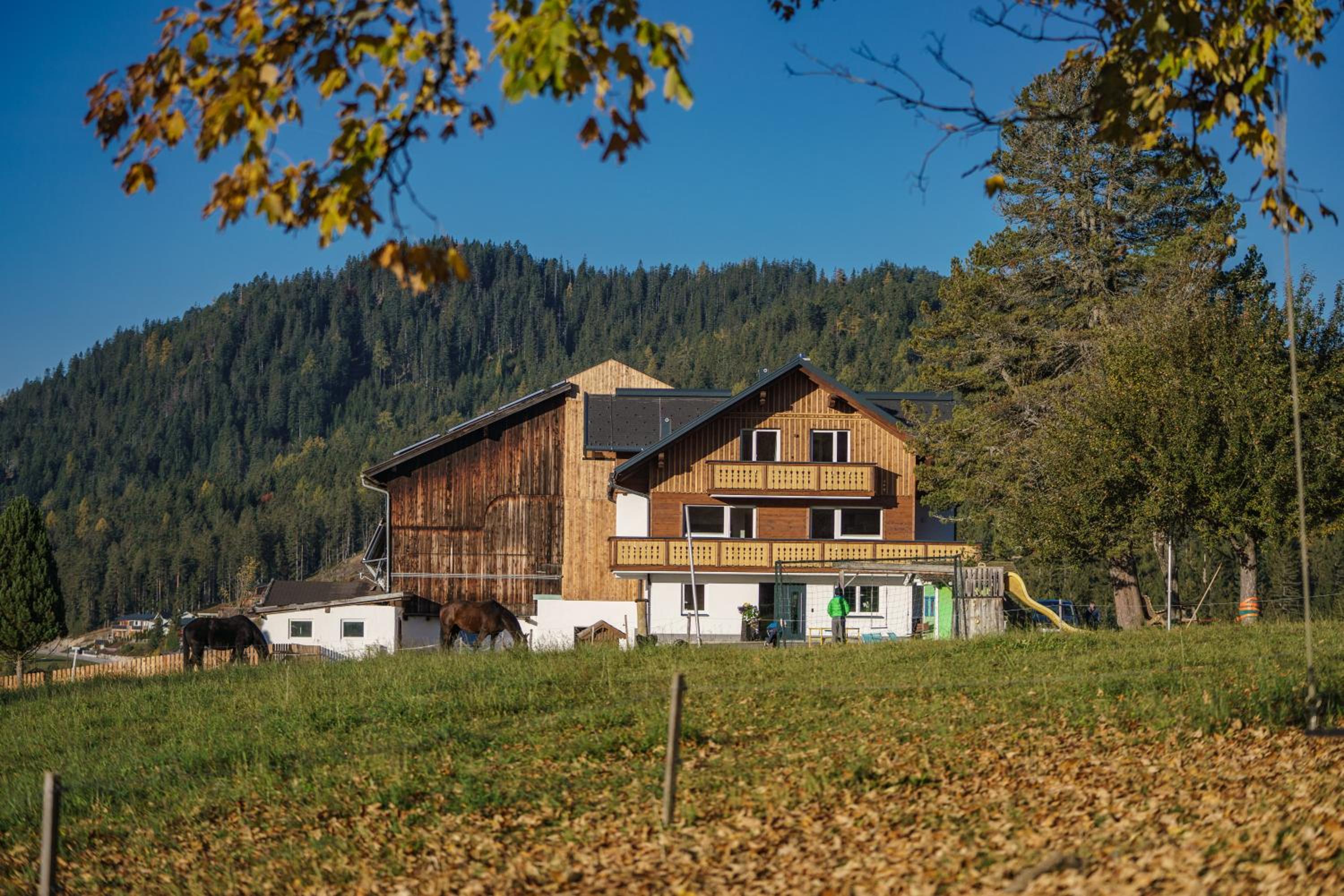 Deluxe Appartement Blasbichlerhof
