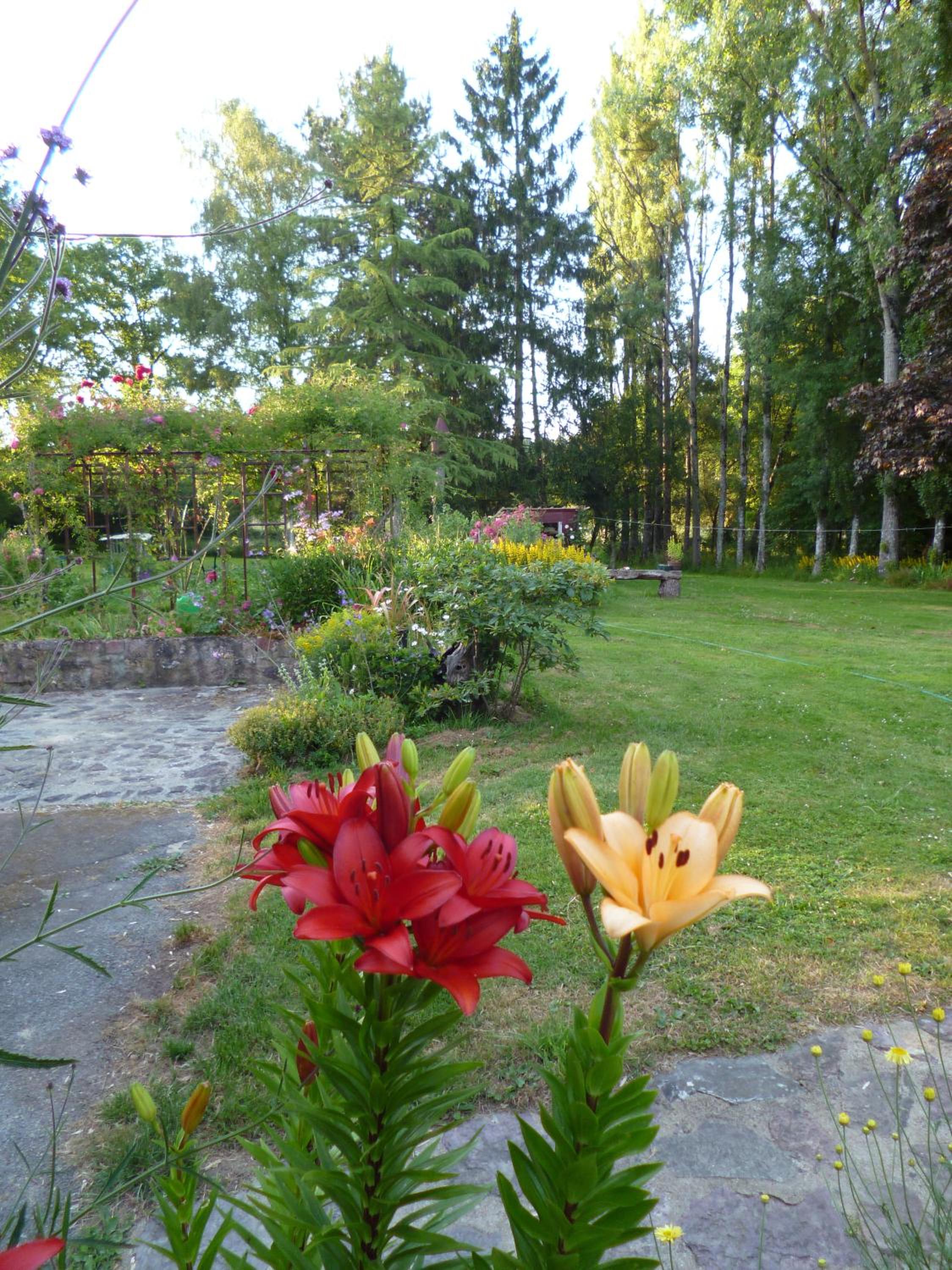 Photo 35