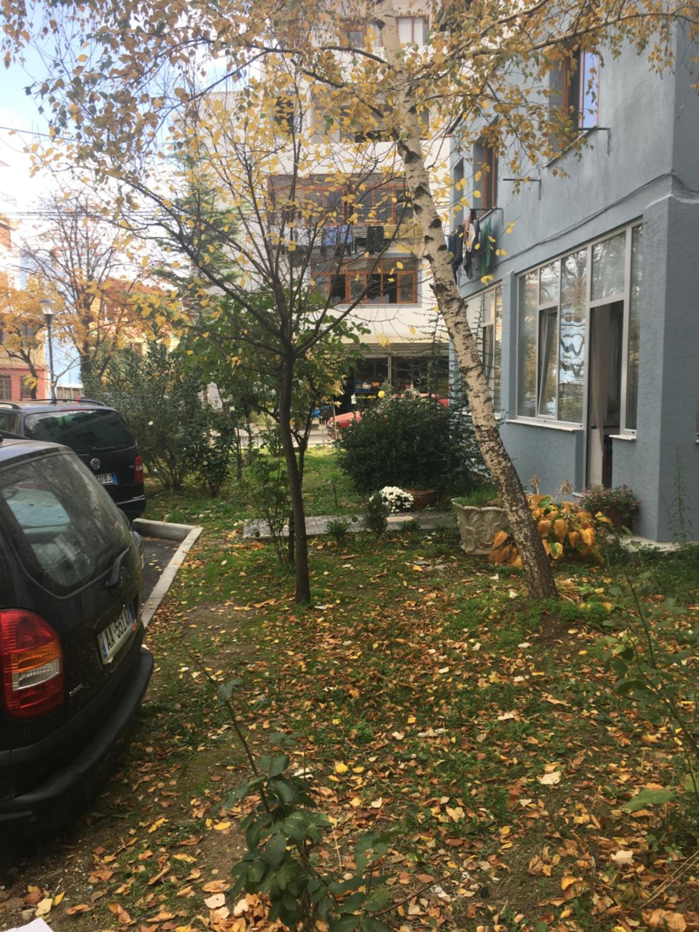 Apartament Rinia in Pogradec
