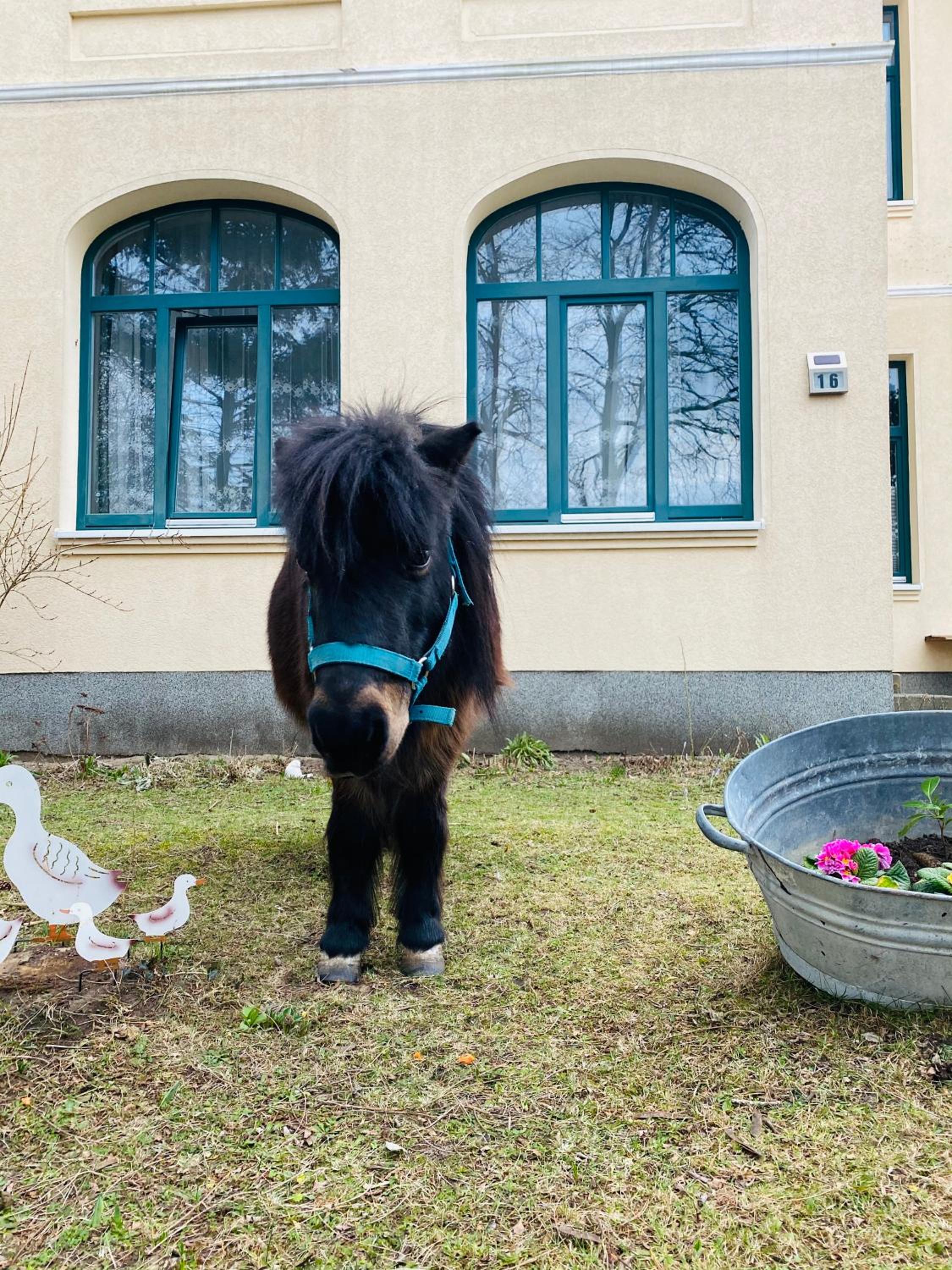Pension Meeresblick