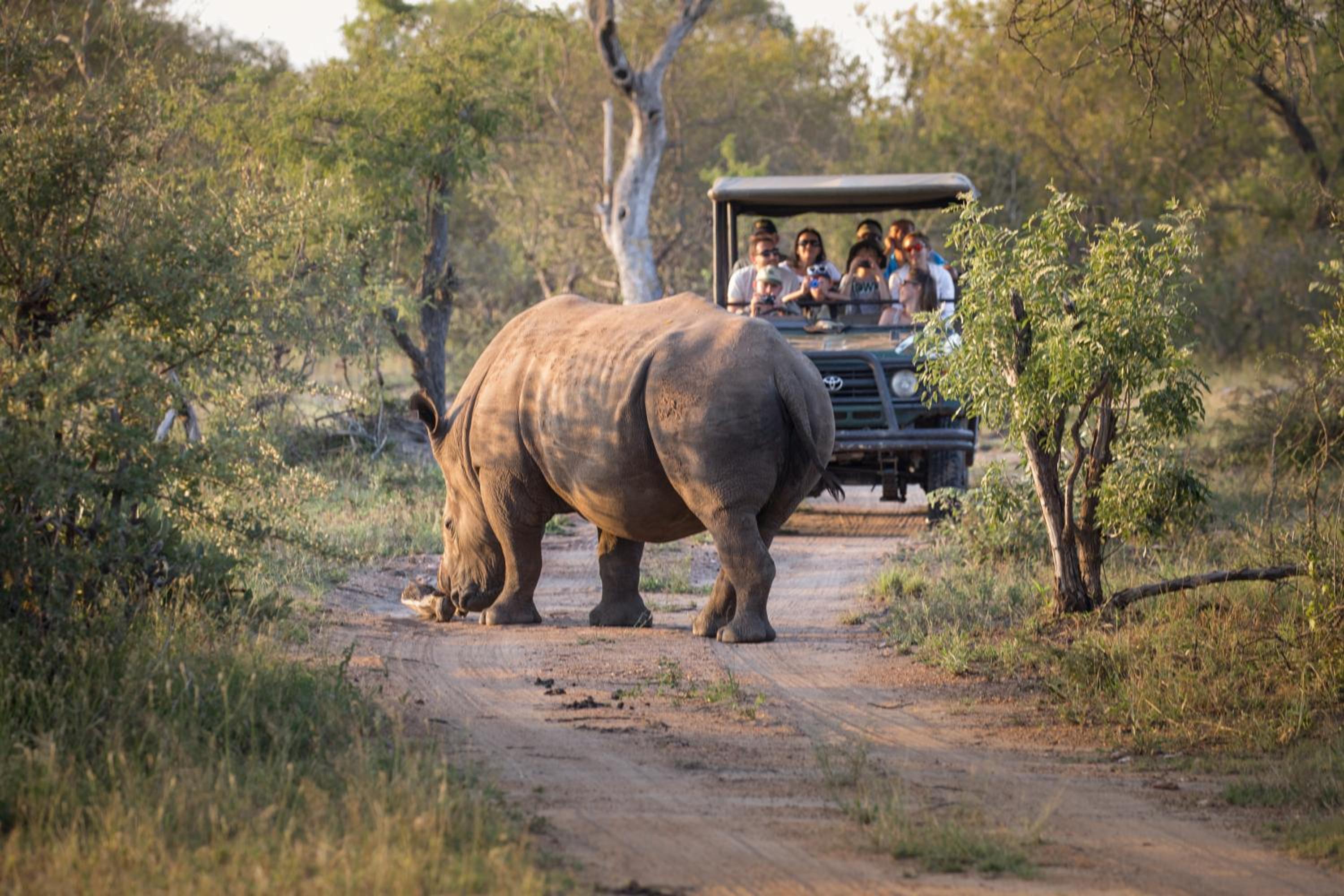 Tshukudu Game Lodge view 4