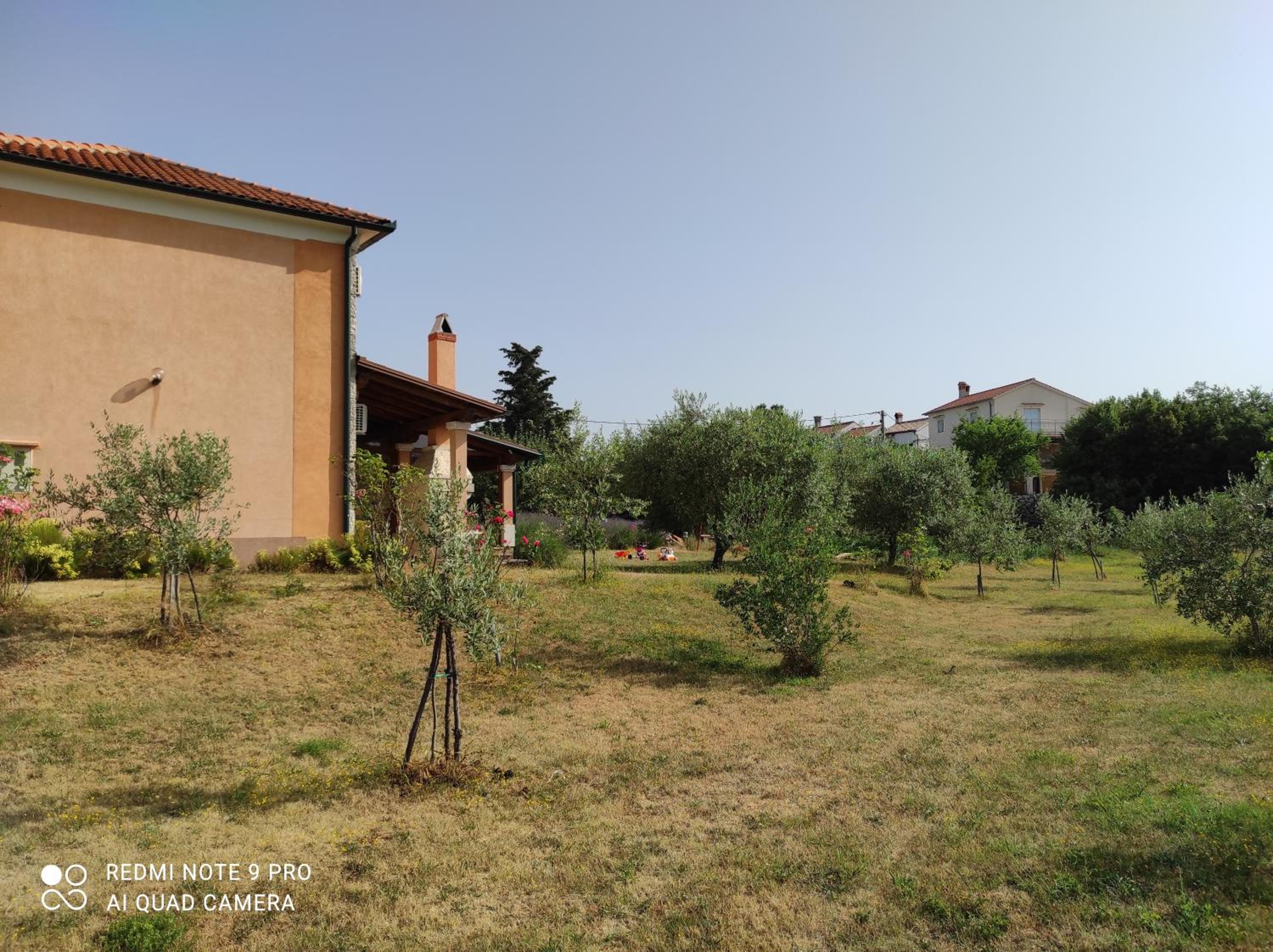 Photo 41
