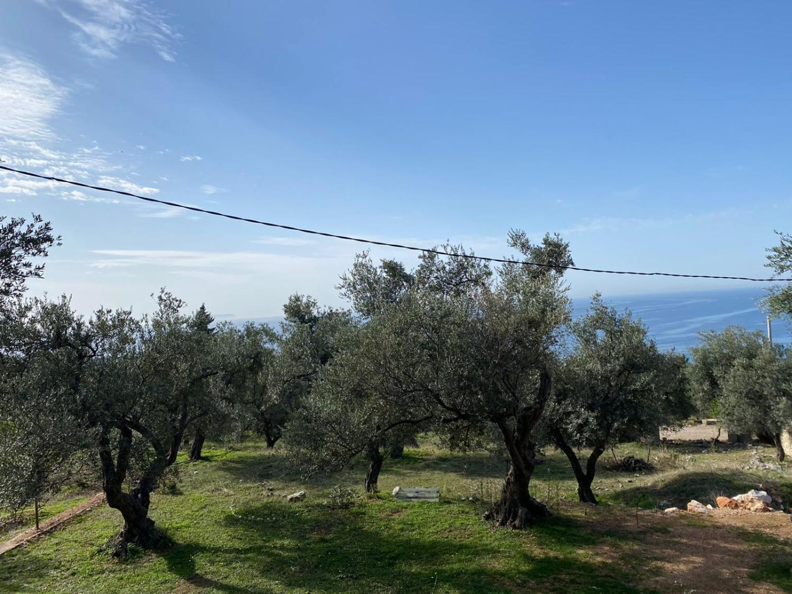 Villa Ermis