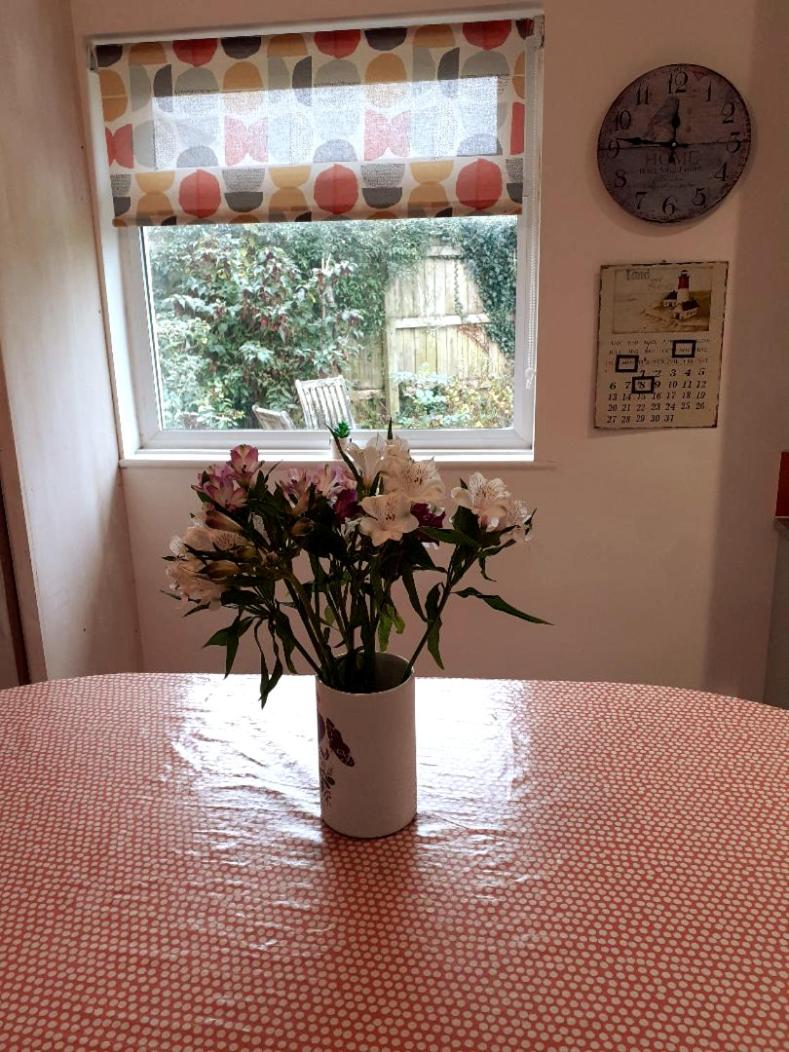 Entire house near beaches, footpaths, dog friendly view 3