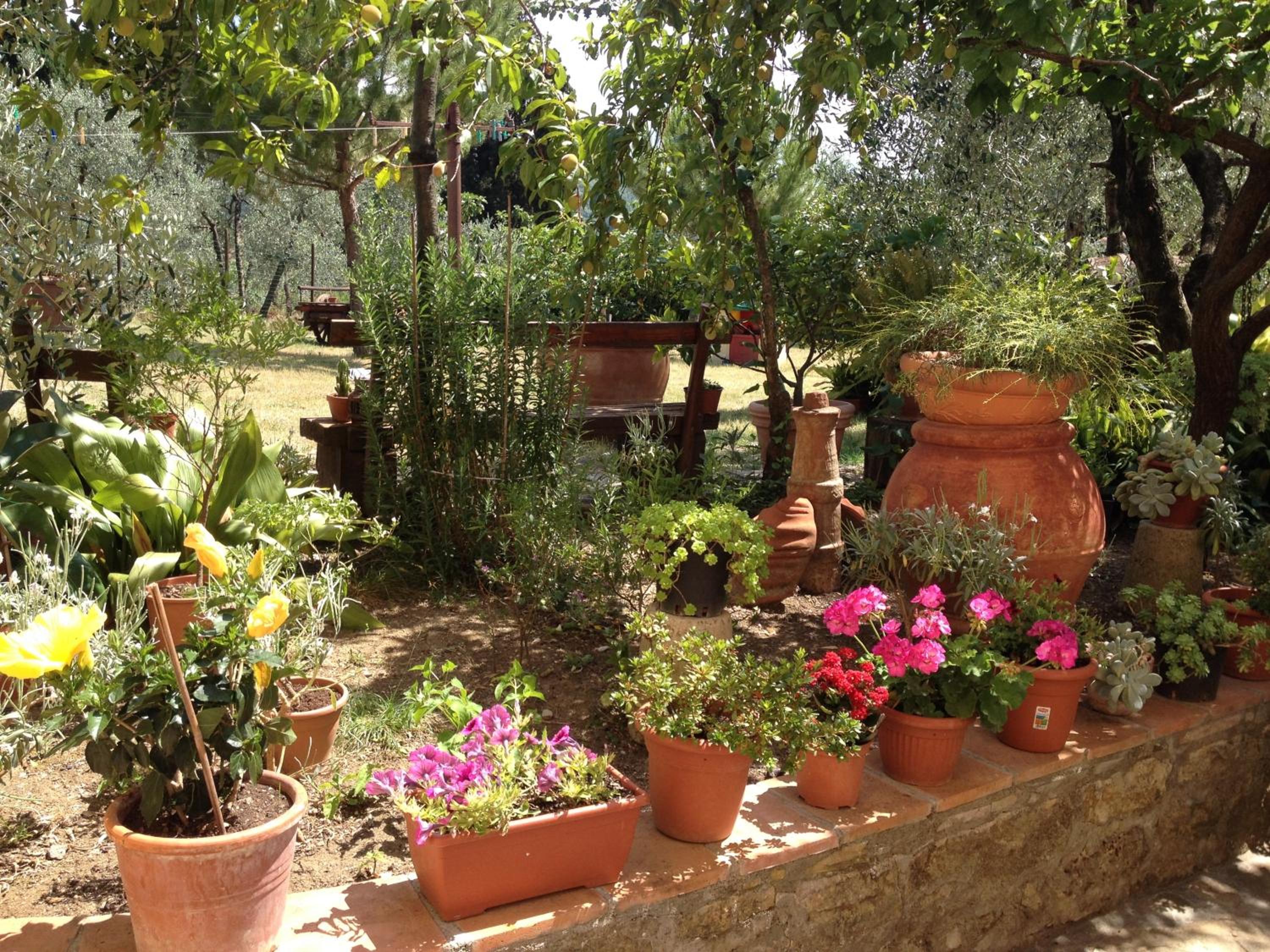 Agriturismo IL VIAIO