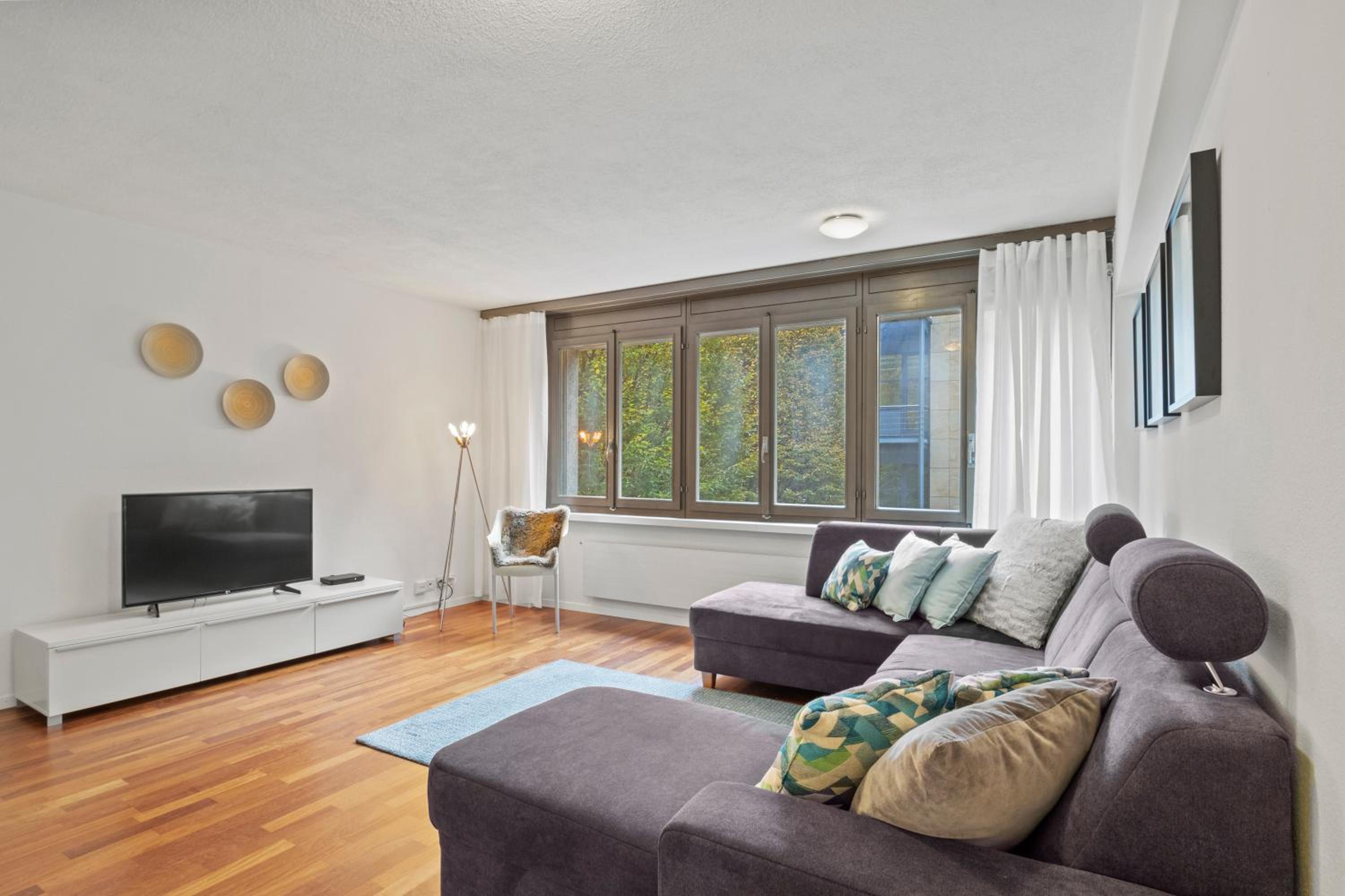 Large, central, bright flat view 2