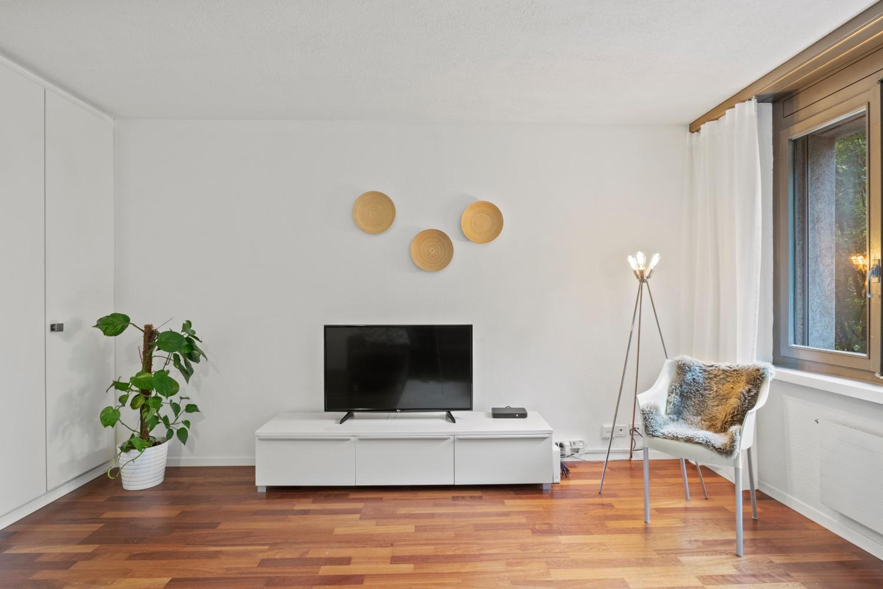 Large, central, bright flat view 3