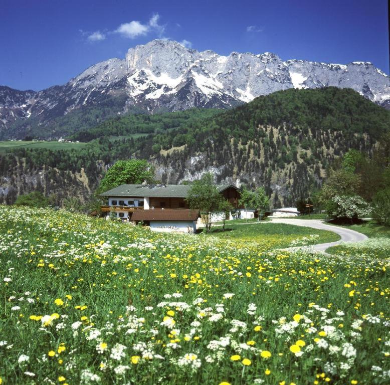 Ferienwohnung Steinlehen