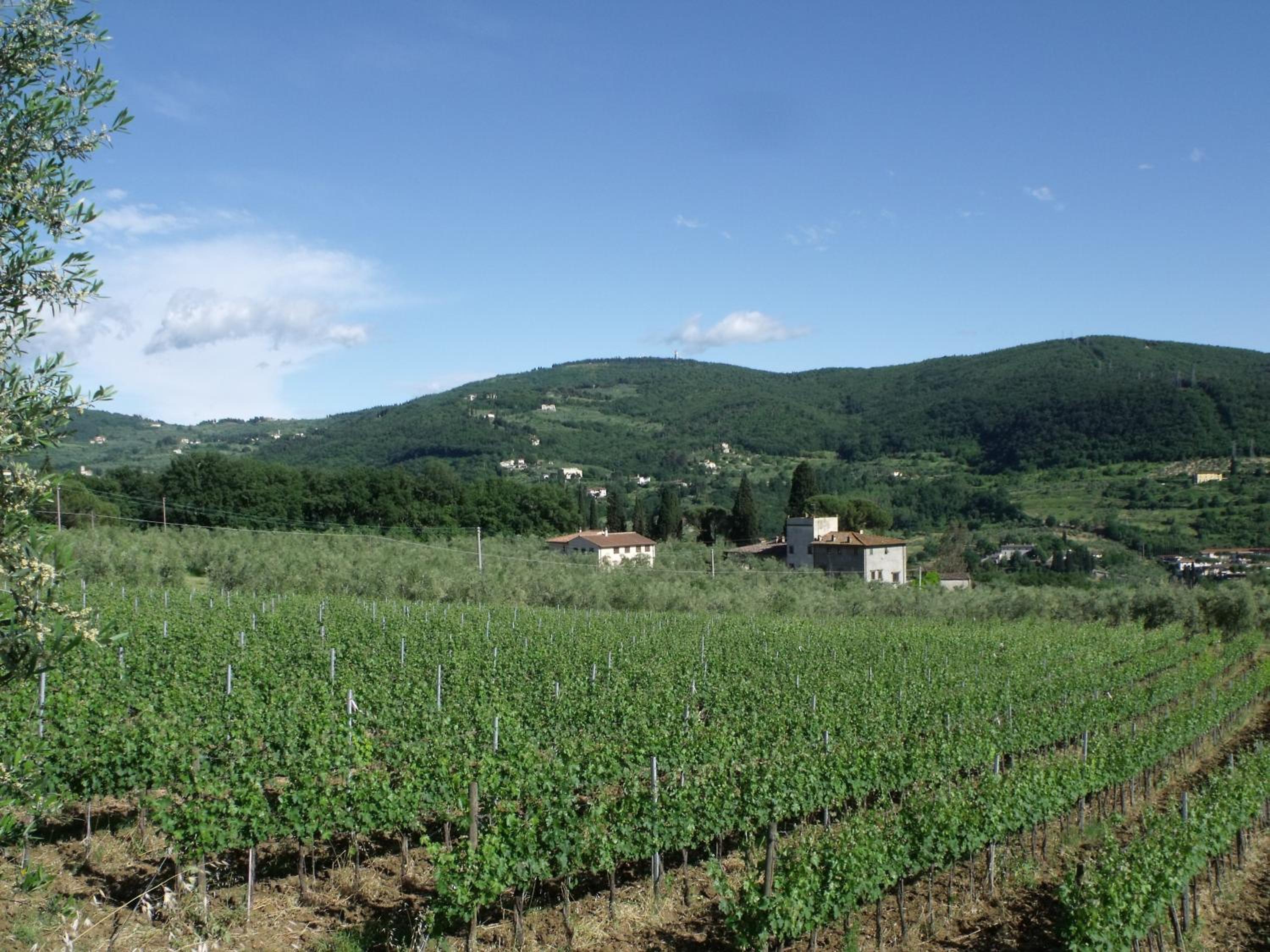 Agriturismo IL VIAIO