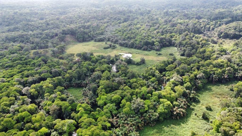 Iguanitas Lodge
