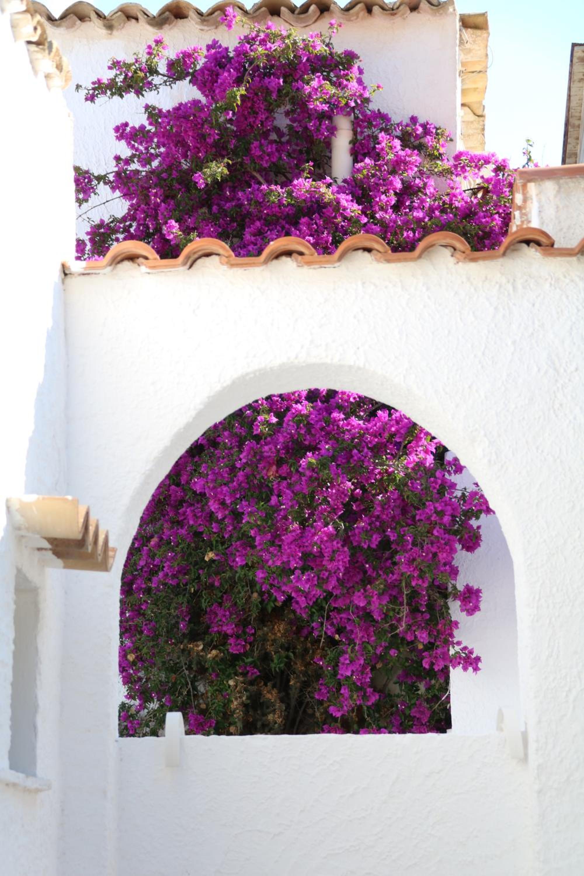 Photo 44
