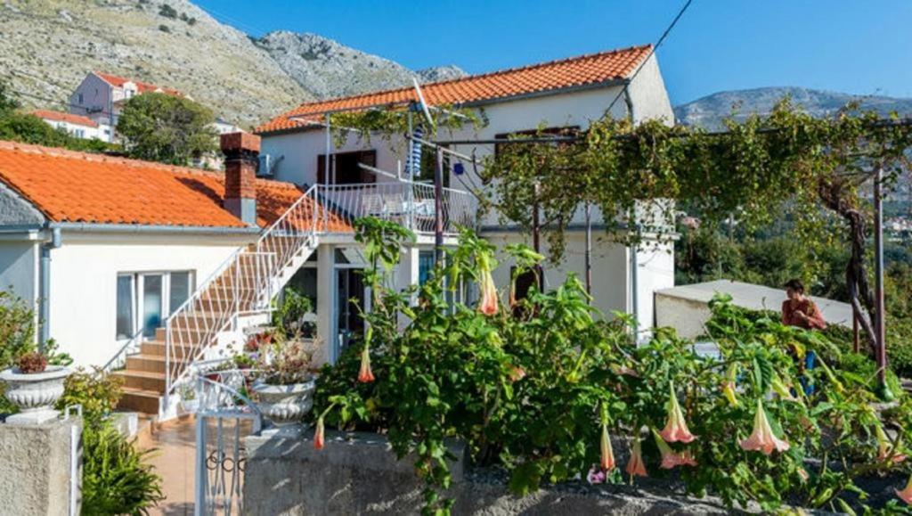 Guest House Fontana