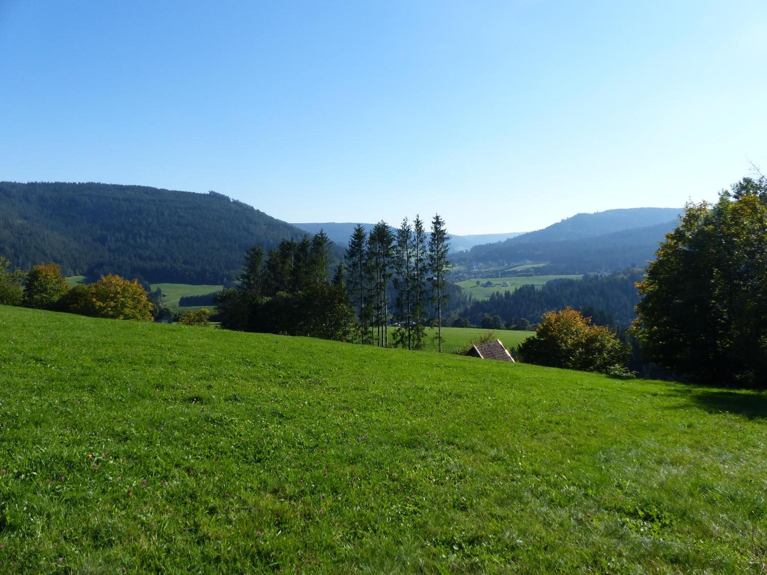 Ferienwohnungen in Schönmünzach