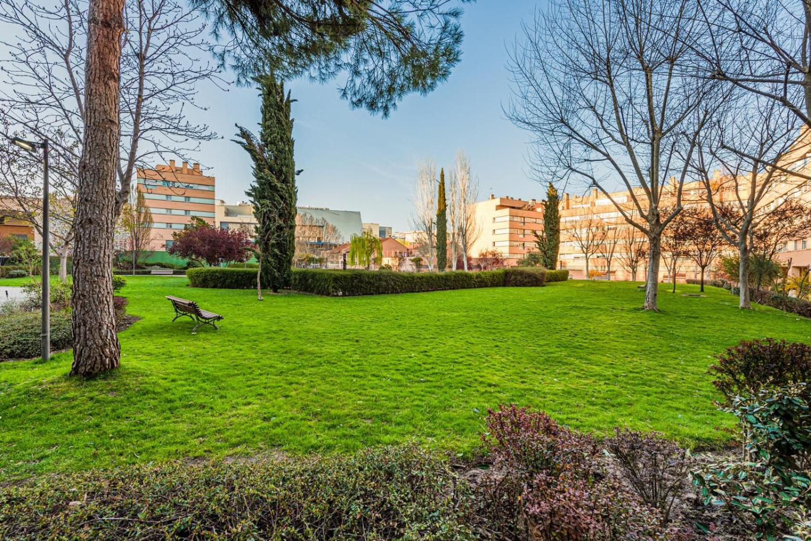 Los Olivos Stylish Apartments in Conde Orgaz