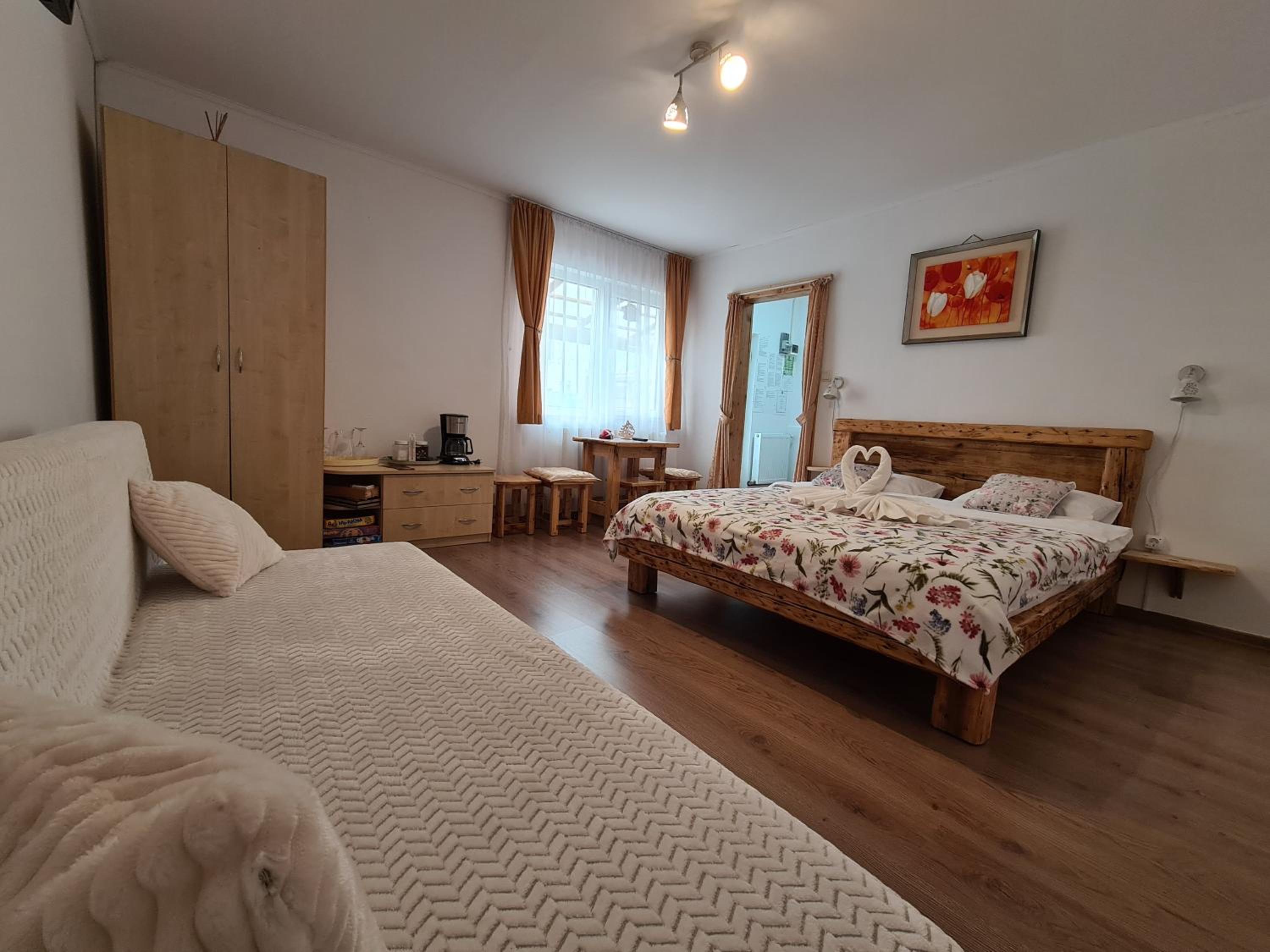 Casa Farcaș Bușteni view 3