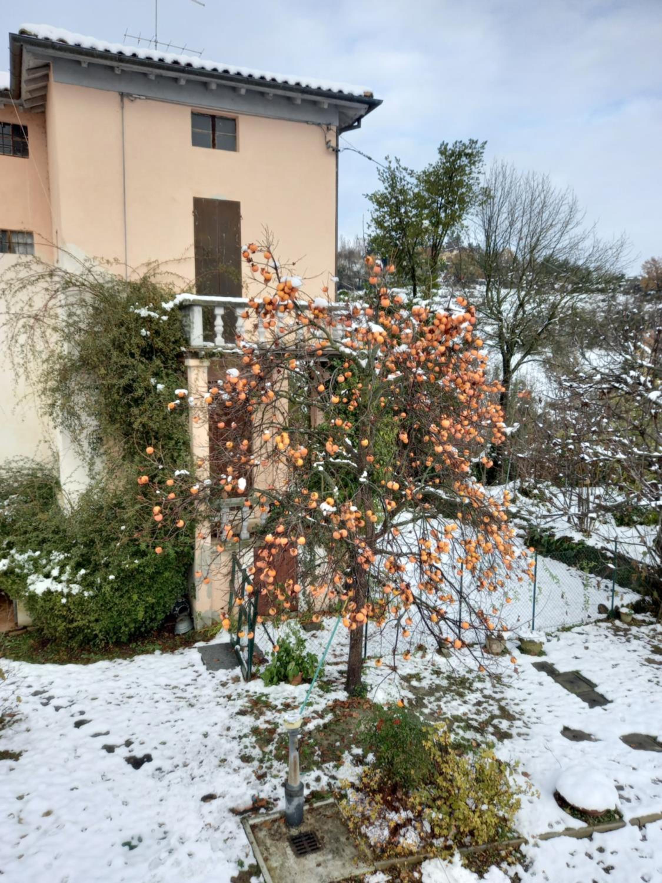Casa vacanze del Masdone view 5