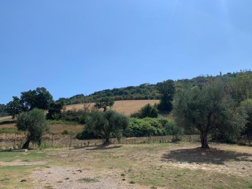 La Perpetua view 2