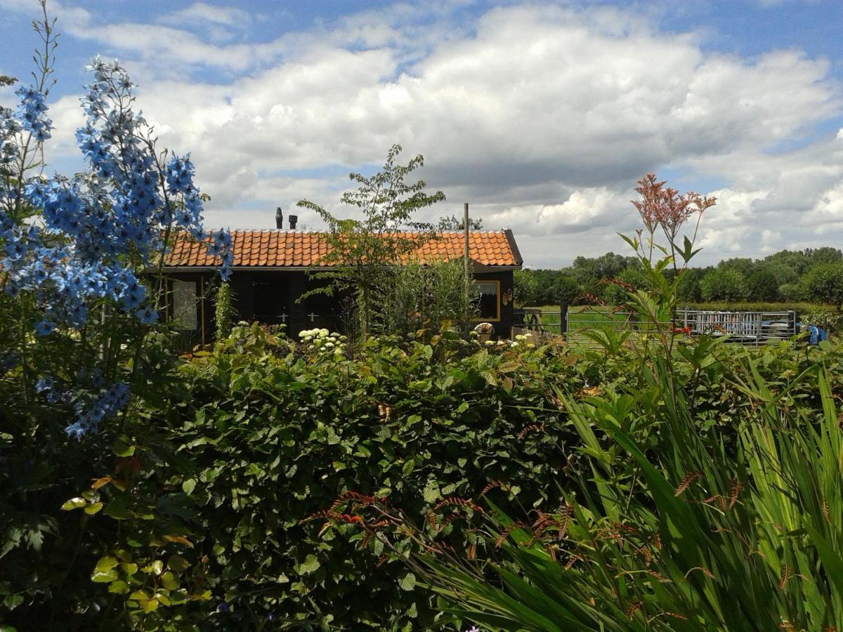 Photo 18