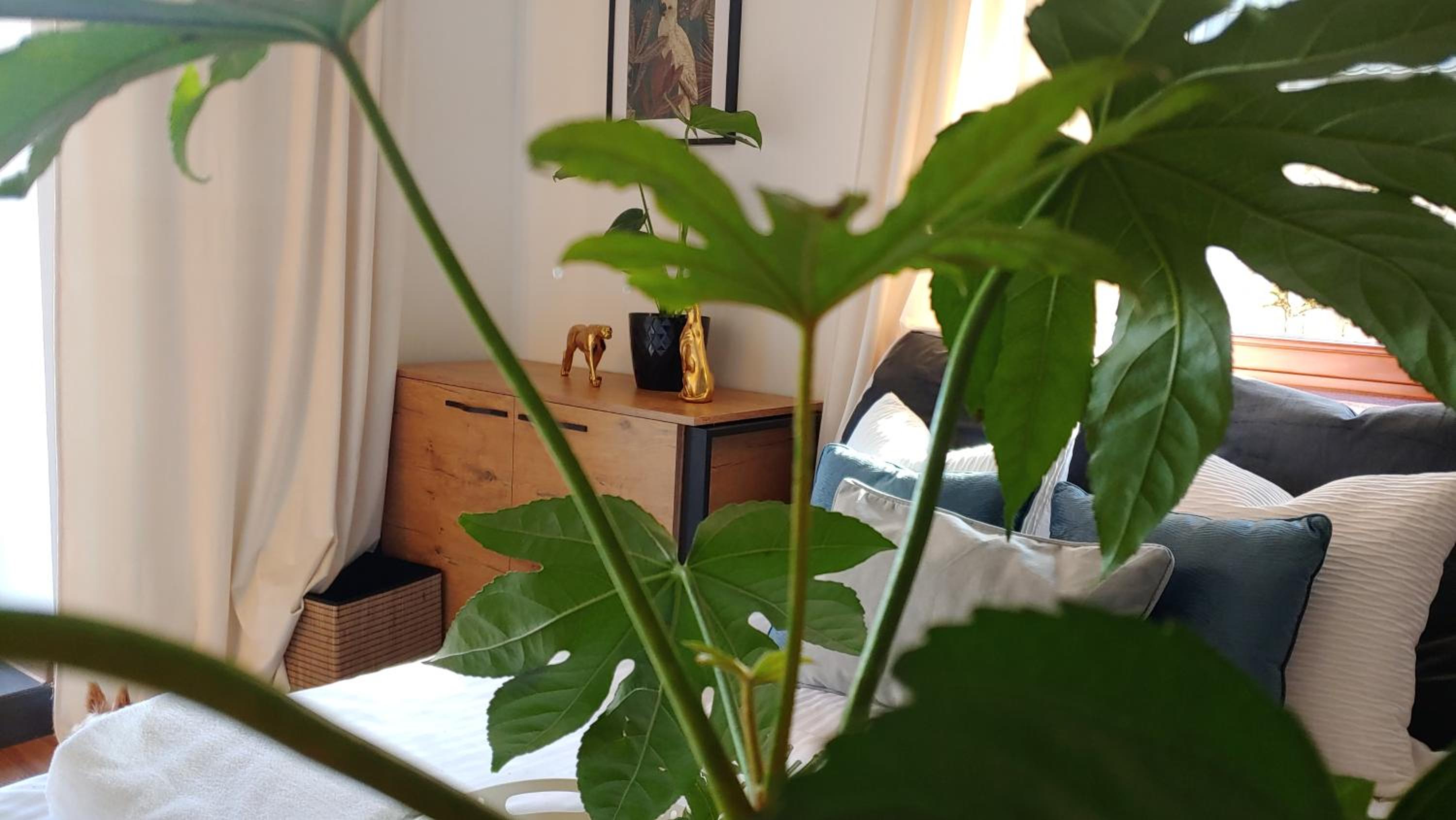 Apartament Dolce Vita Kościelisko Resort view 4
