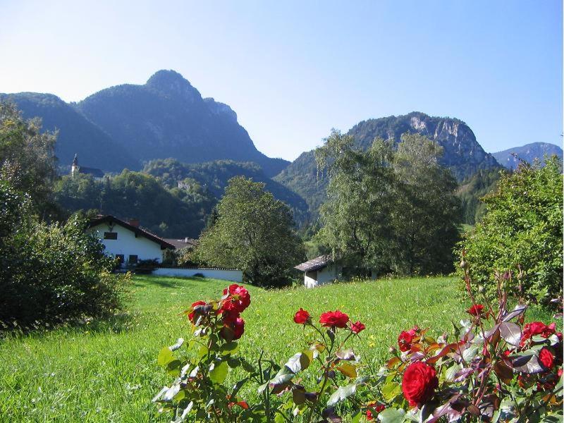 Landhaus Fellnerbauer view 3