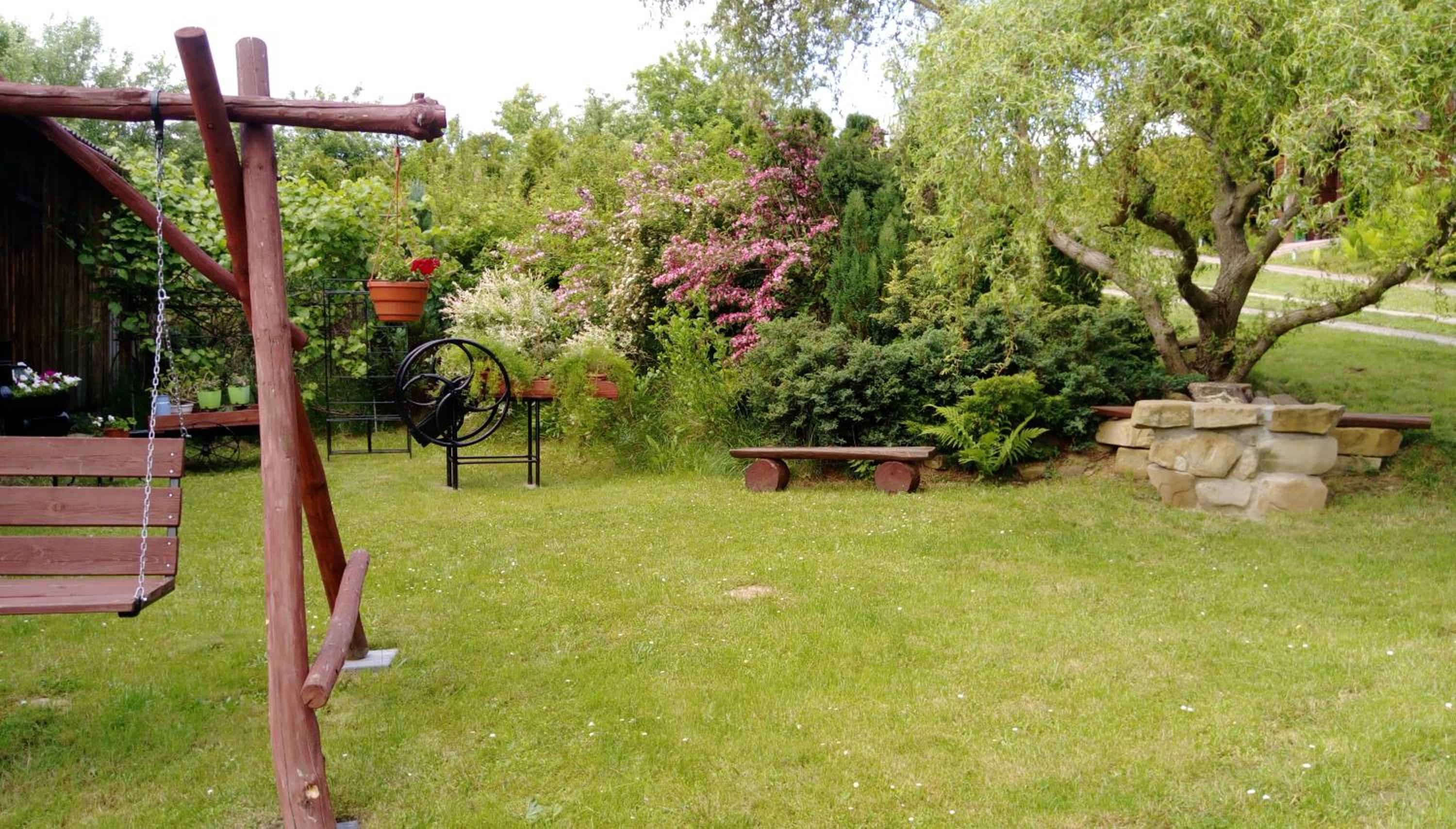Photo 42