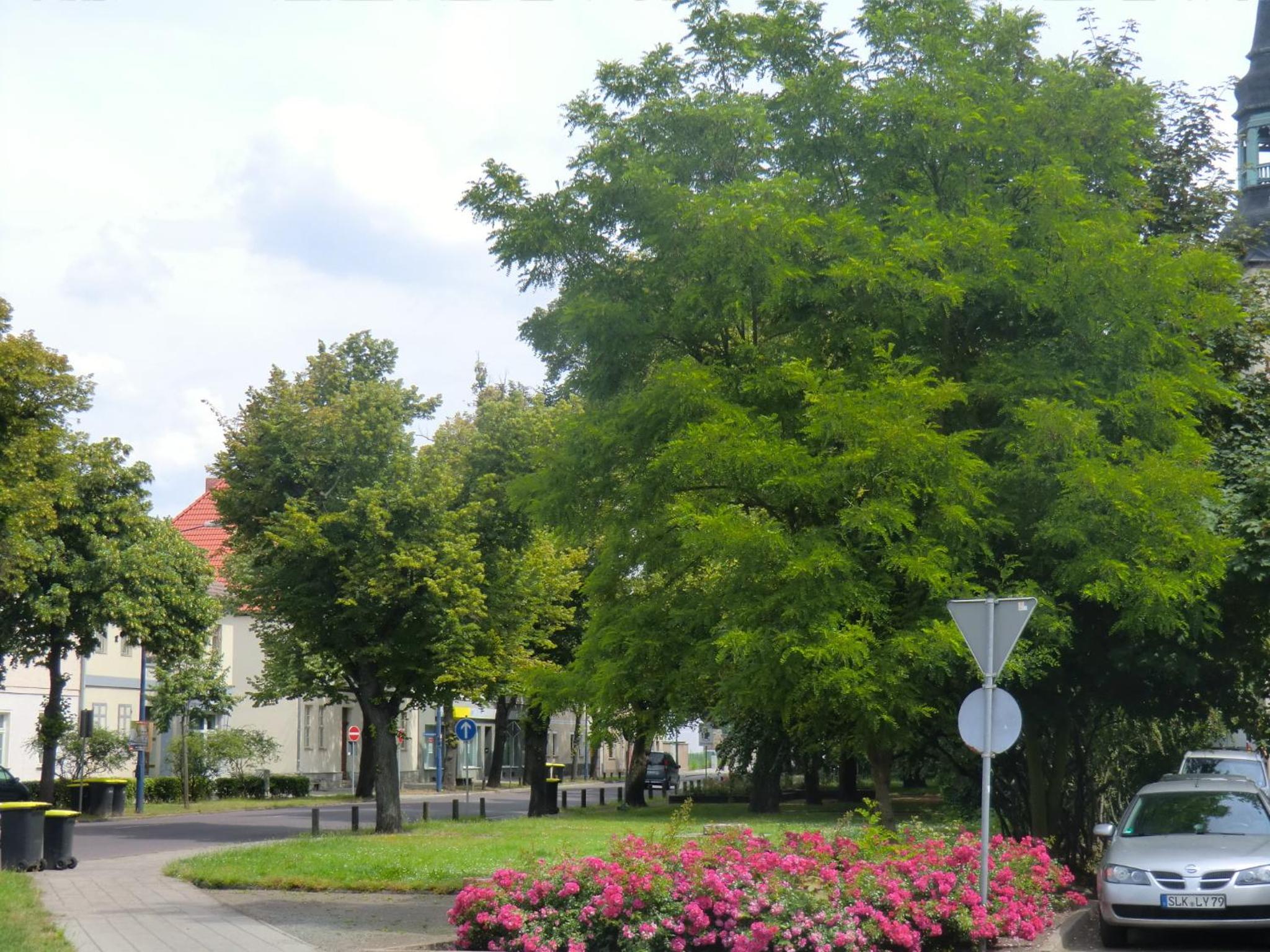Apartmenthaus Rosenflair