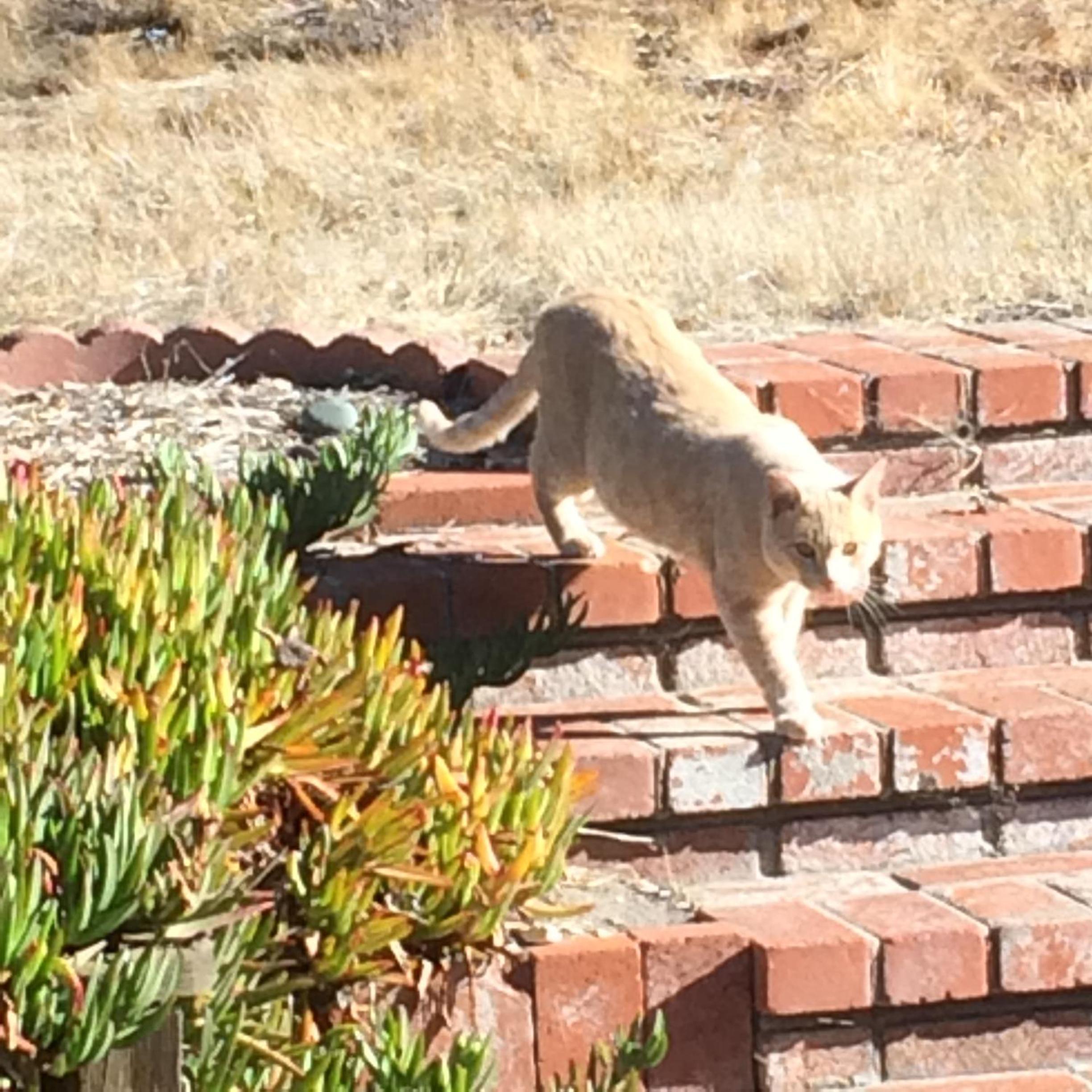 Monterey Vacations - Carmel Comfort - Property Image 2