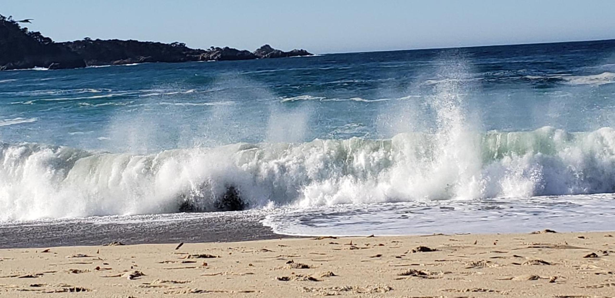 Monterey Vacations - Carmel Comfort - Property Image 3