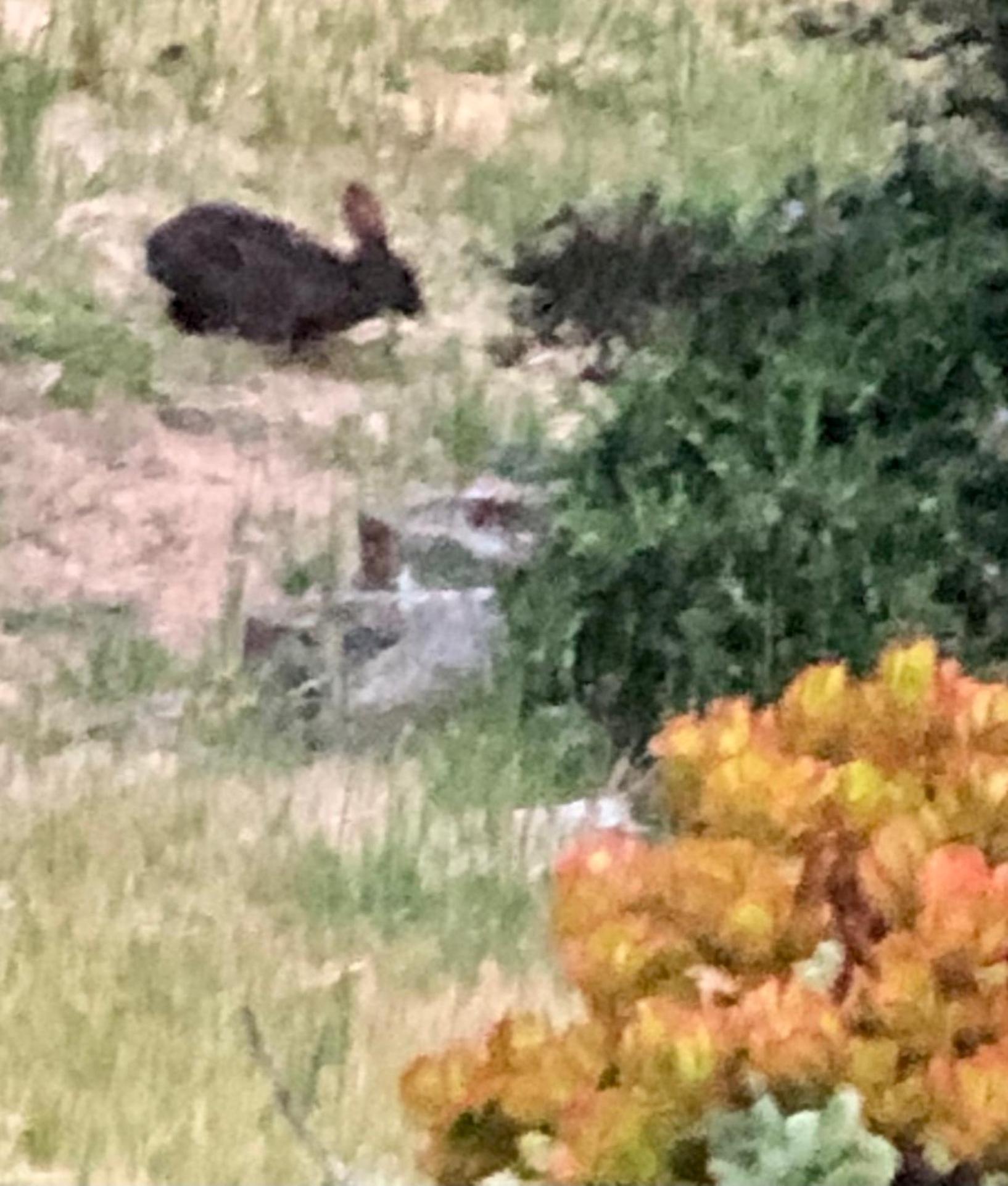 Monterey Vacations - Carmel Comfort - Property Image 4