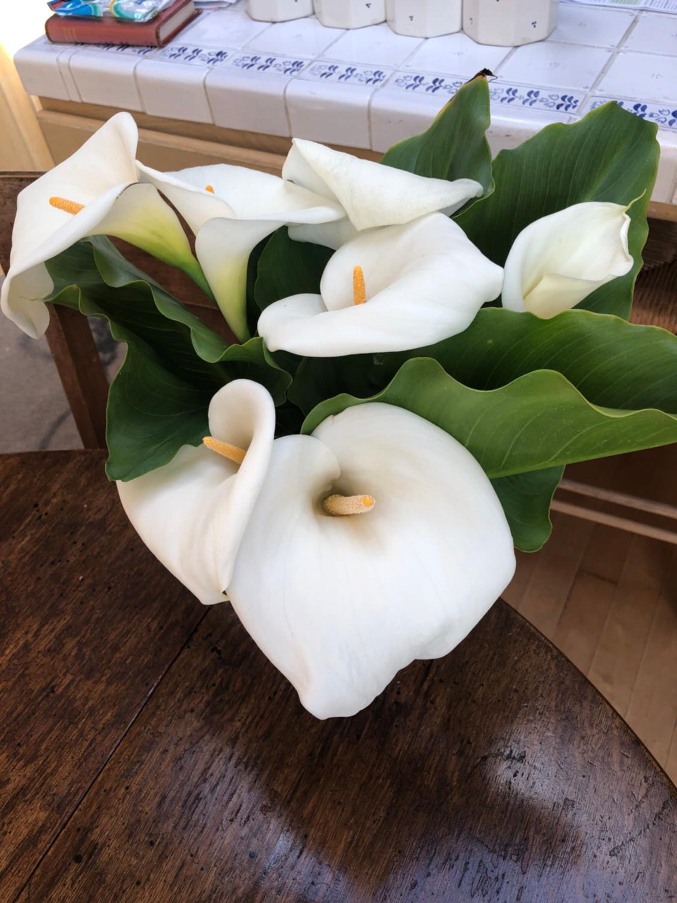 Monterey Vacations - Carmel Comfort - Property Image 5