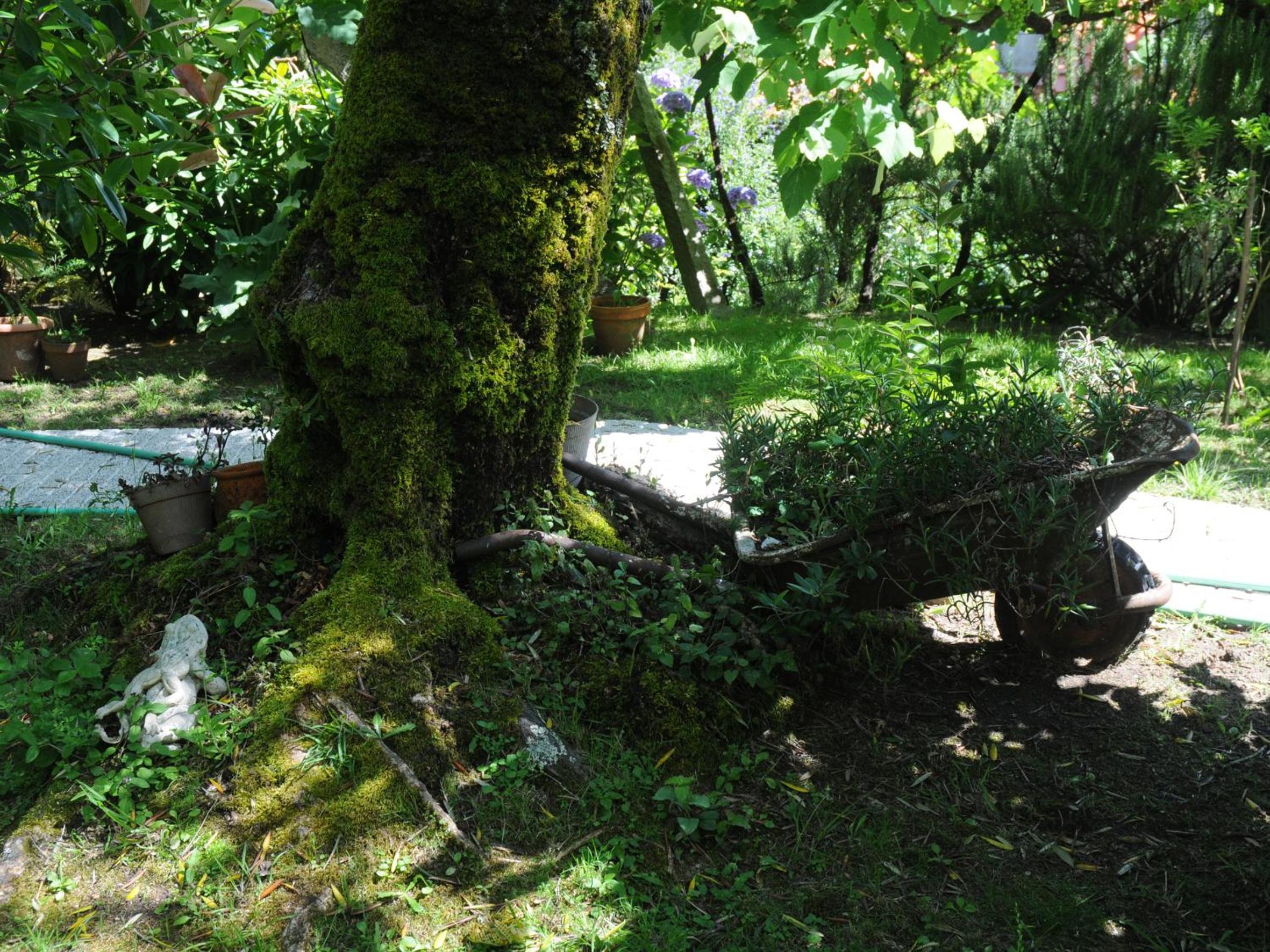 Photo 54