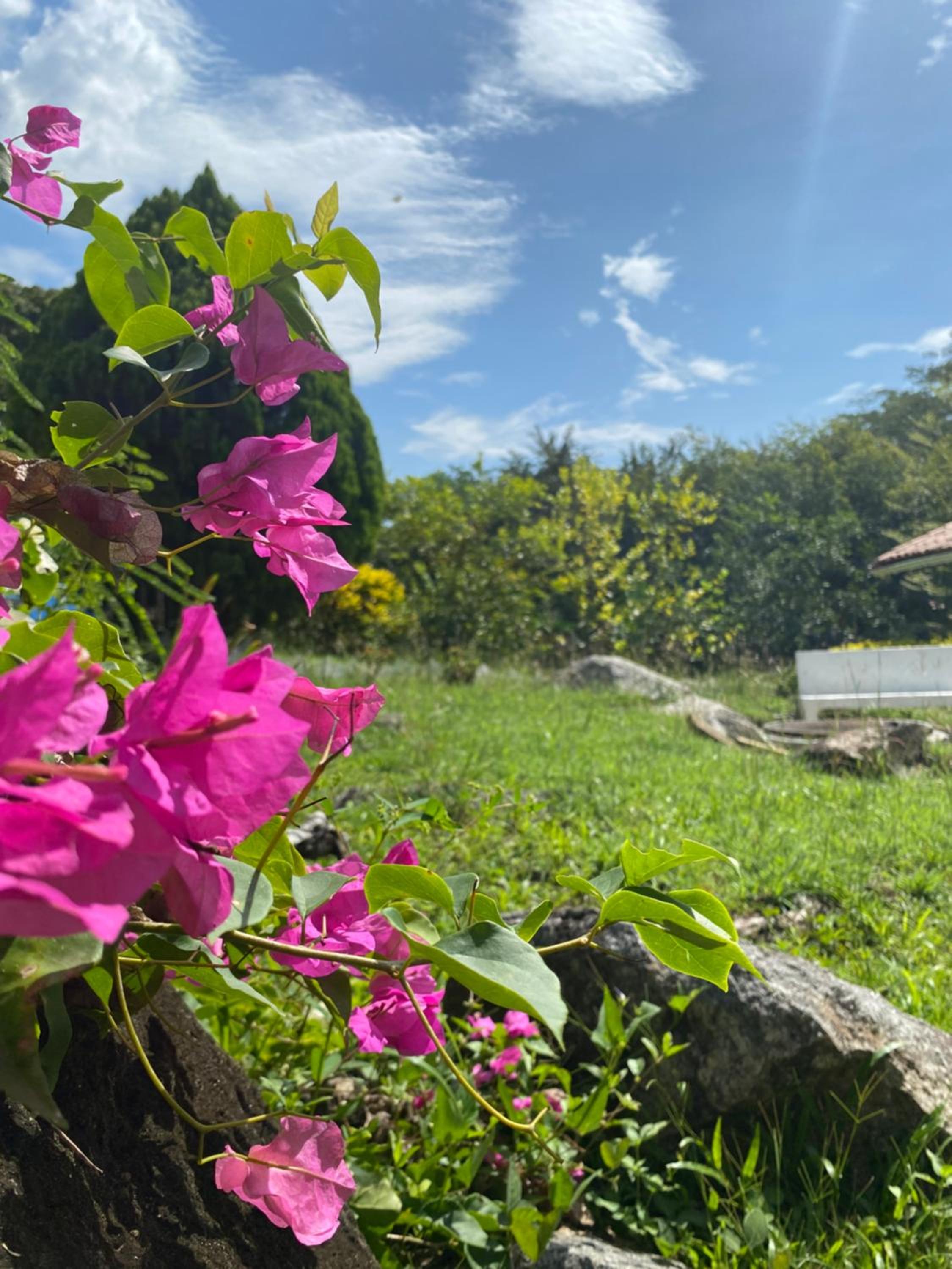 Finca Sopetrán Antioquia