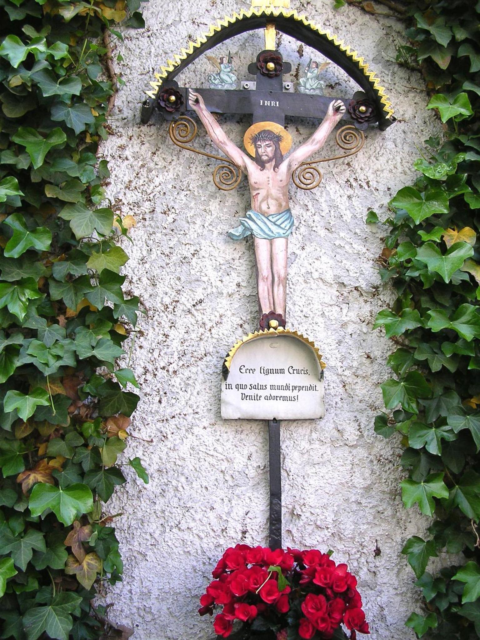Photo 42