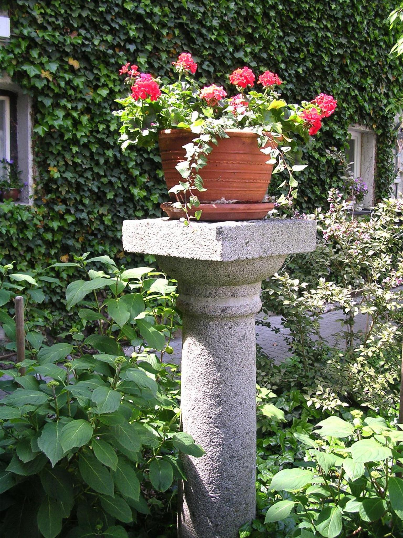 Photo 18