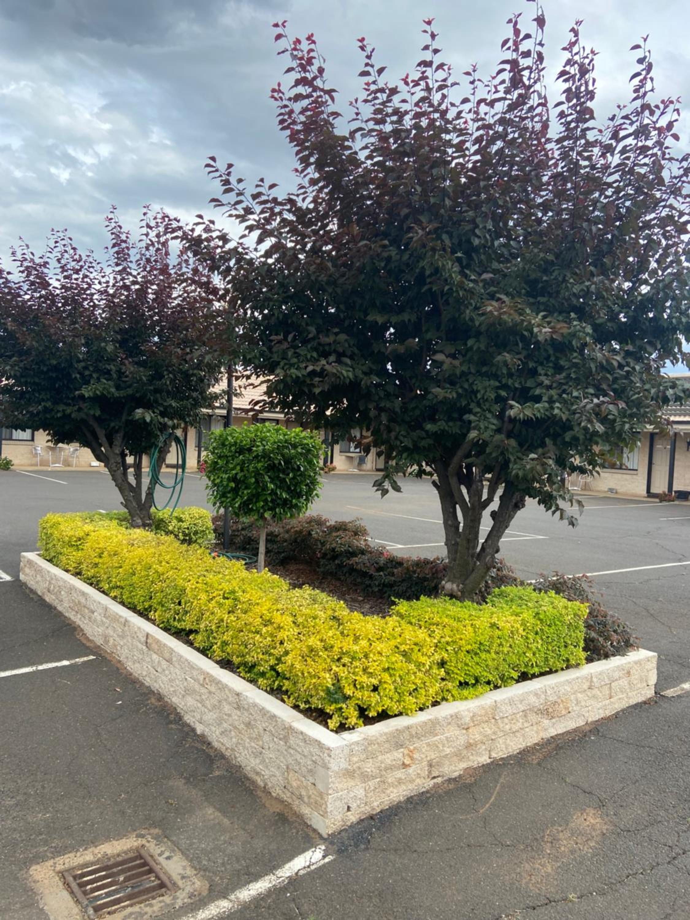 All Seasons Motor Lodge