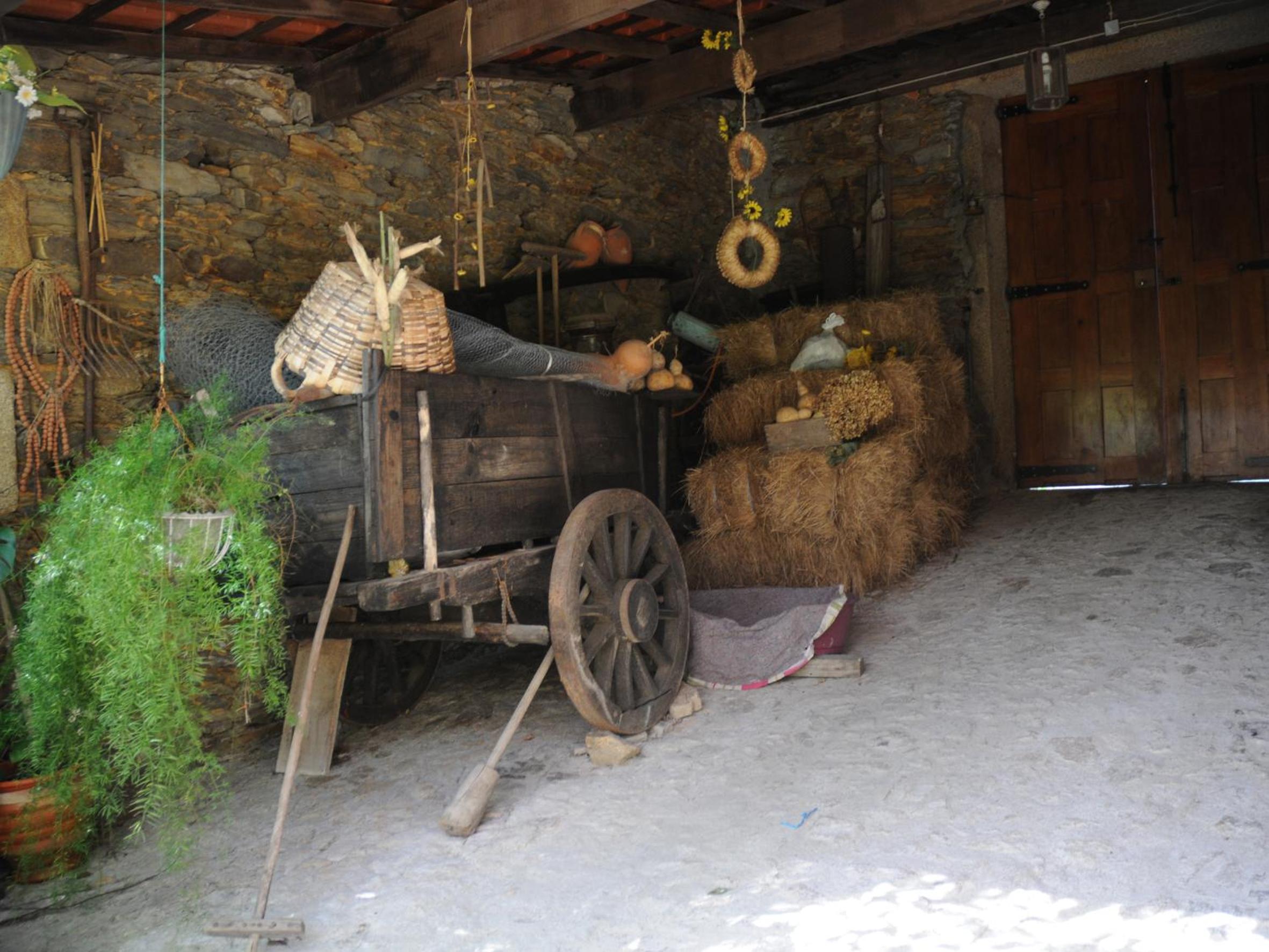 Photo 48