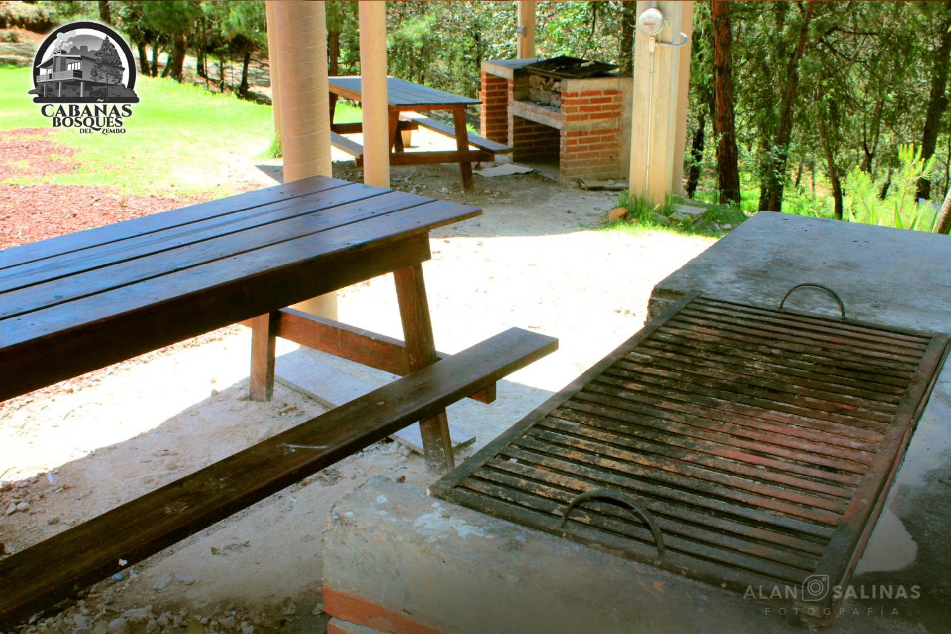 Photo 46