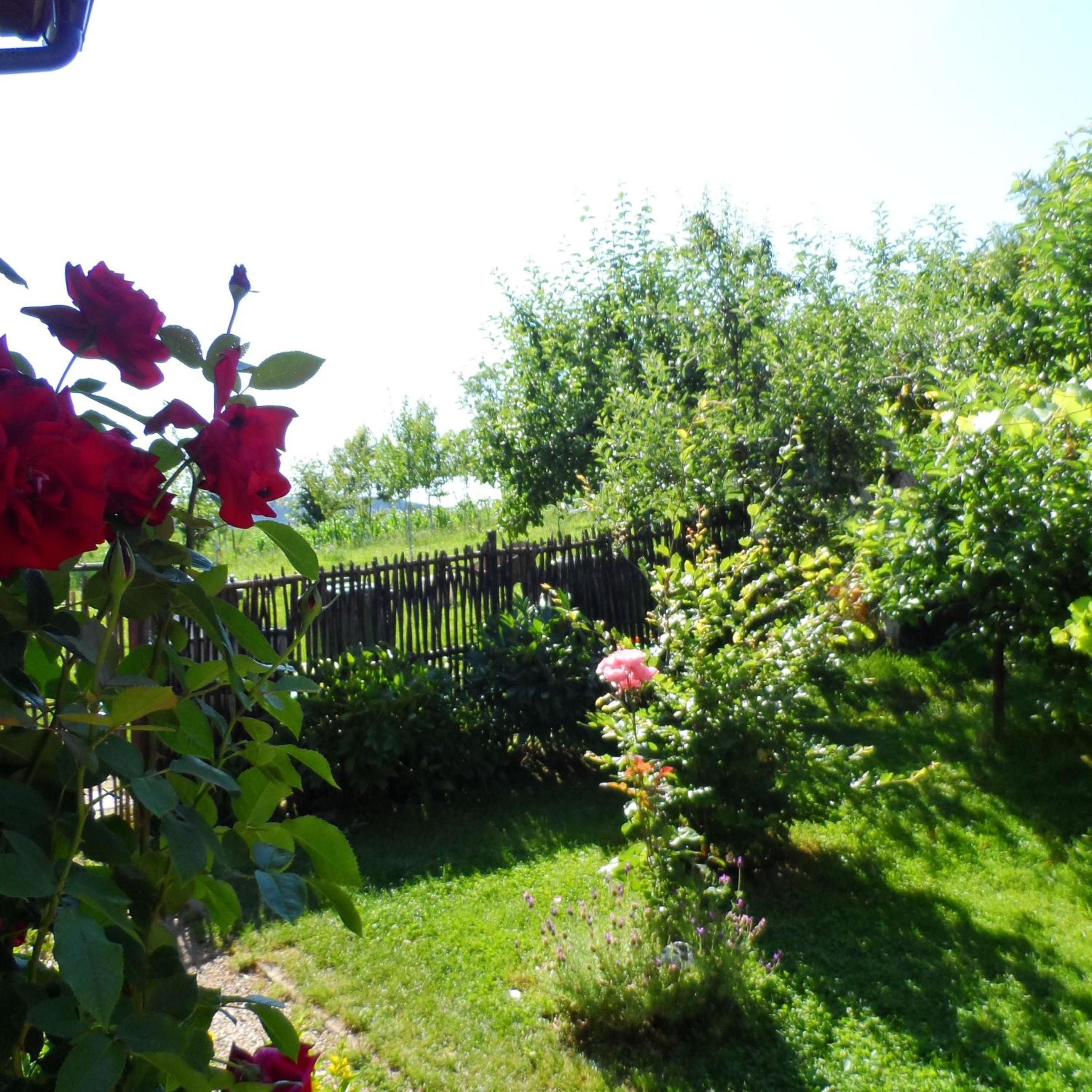 Photo 31