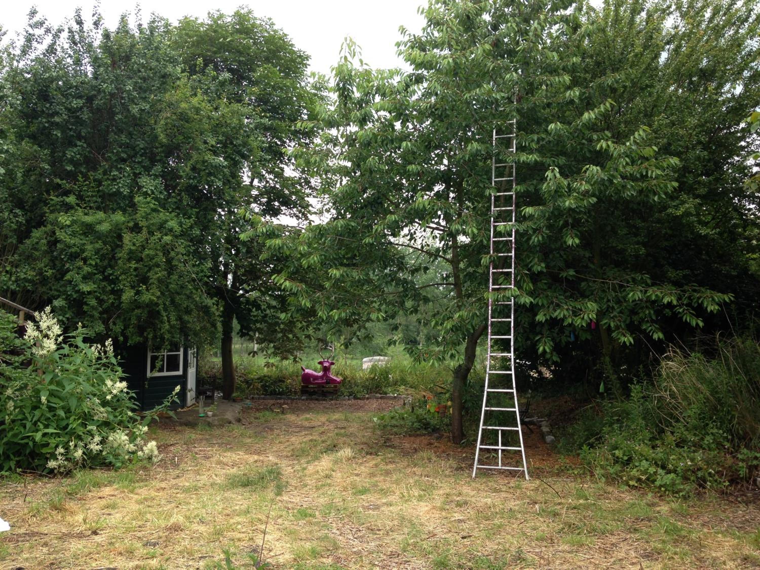 B&B De Henehoeve