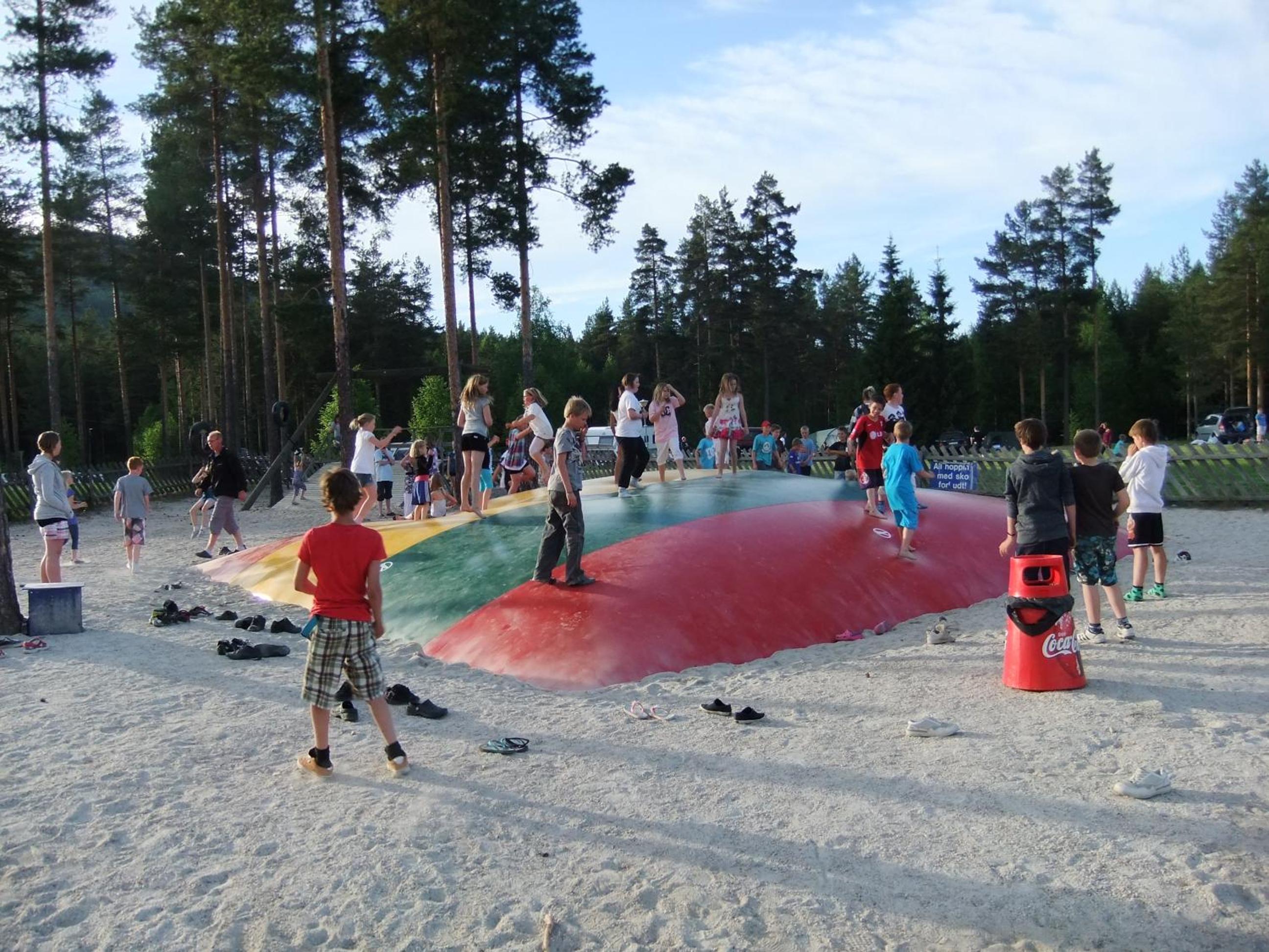 Photo 45