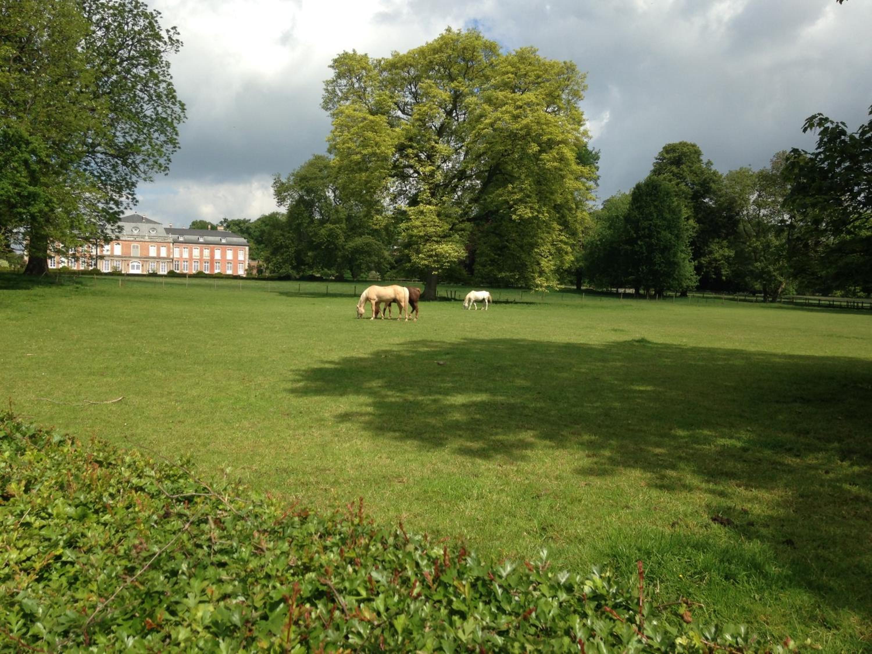 B&B De Henehoeve