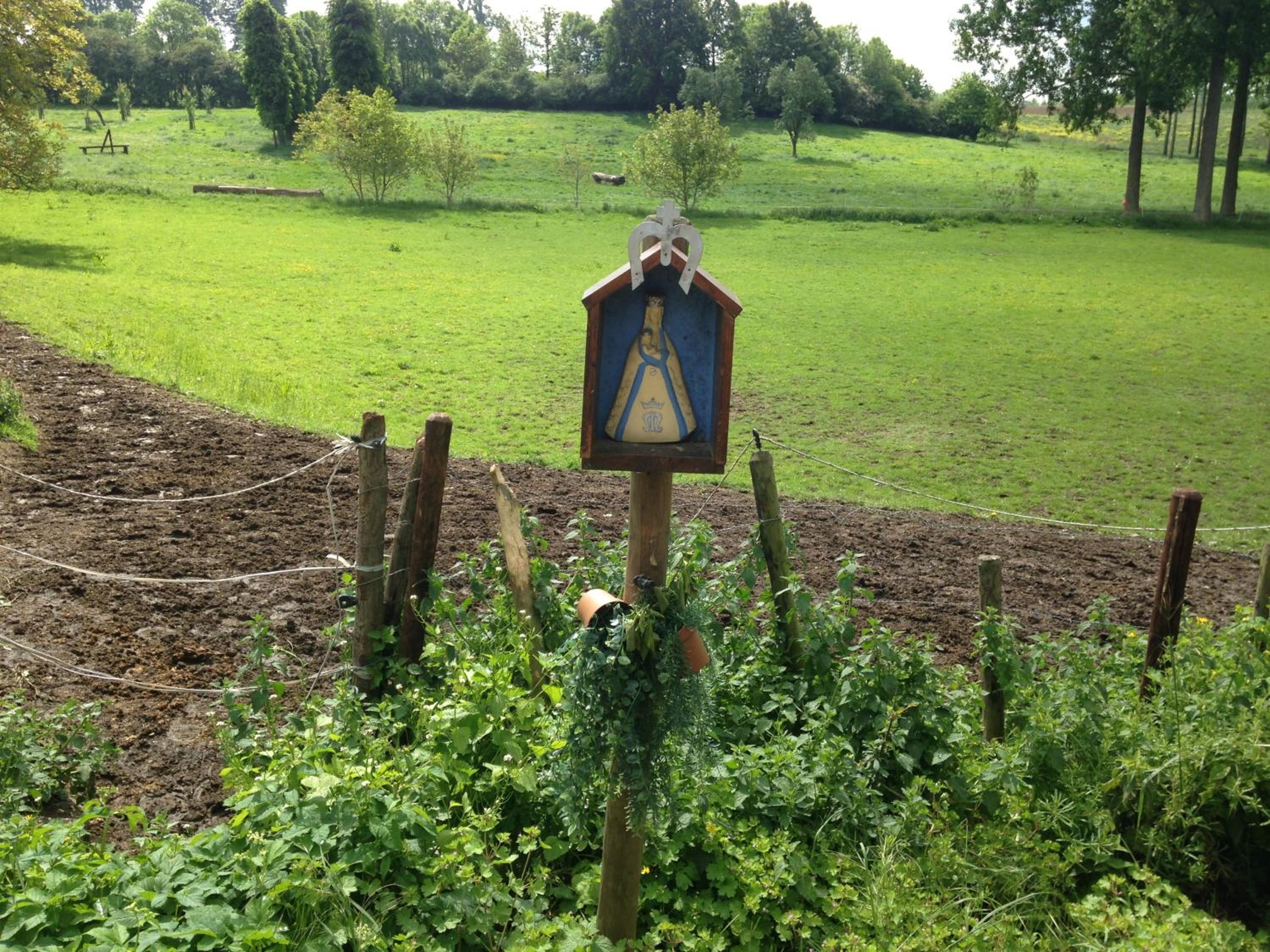 B&B De Henehoeve