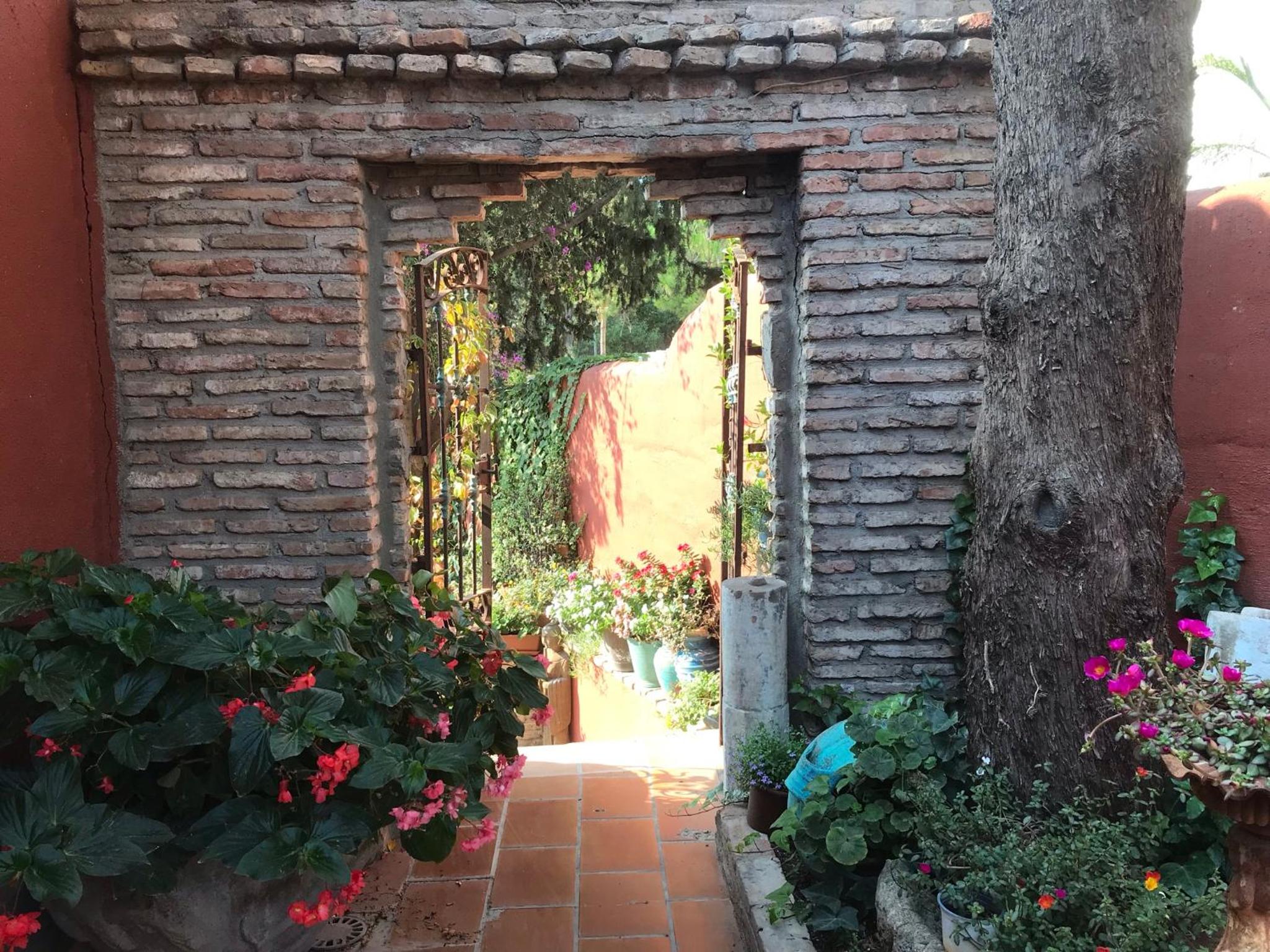 Photo 23