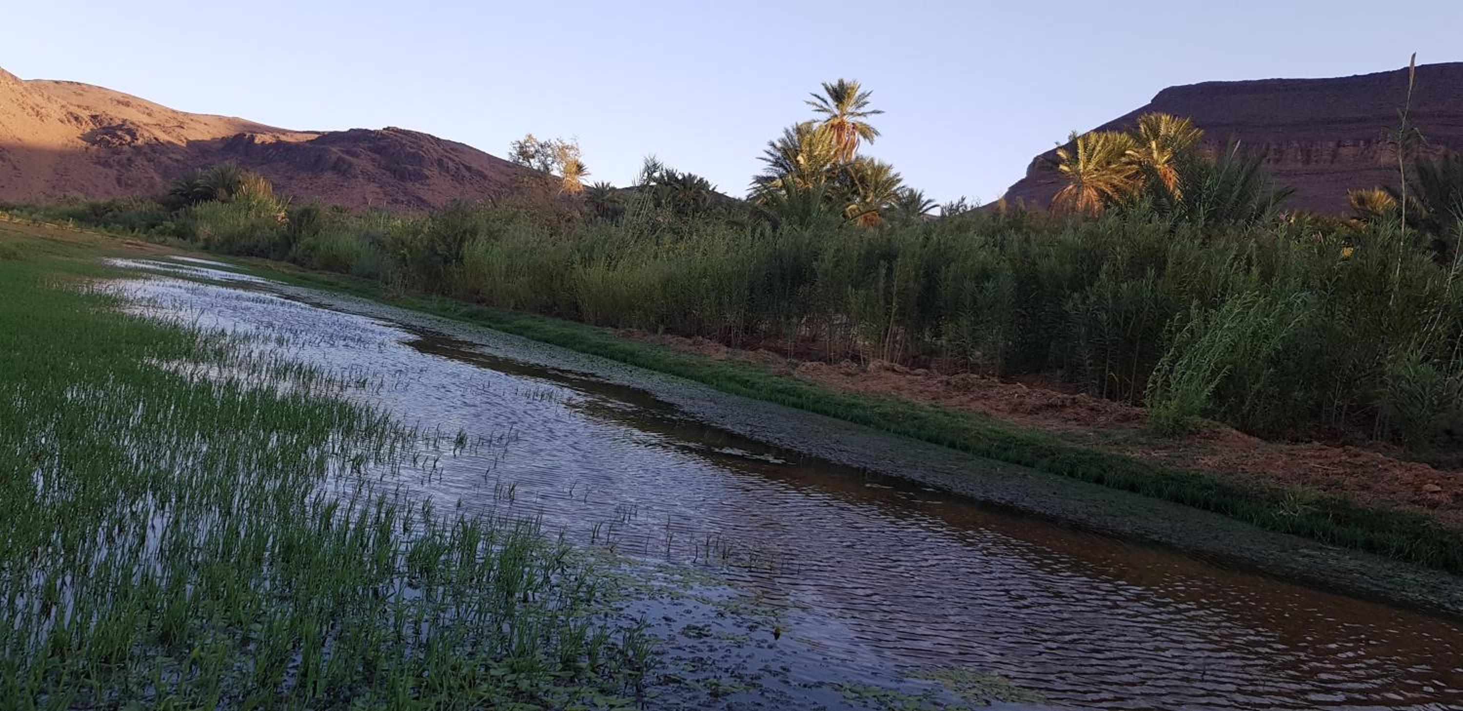 Ouarzazate Vacations - ecolodge bivouac des aigles - Property Image 3